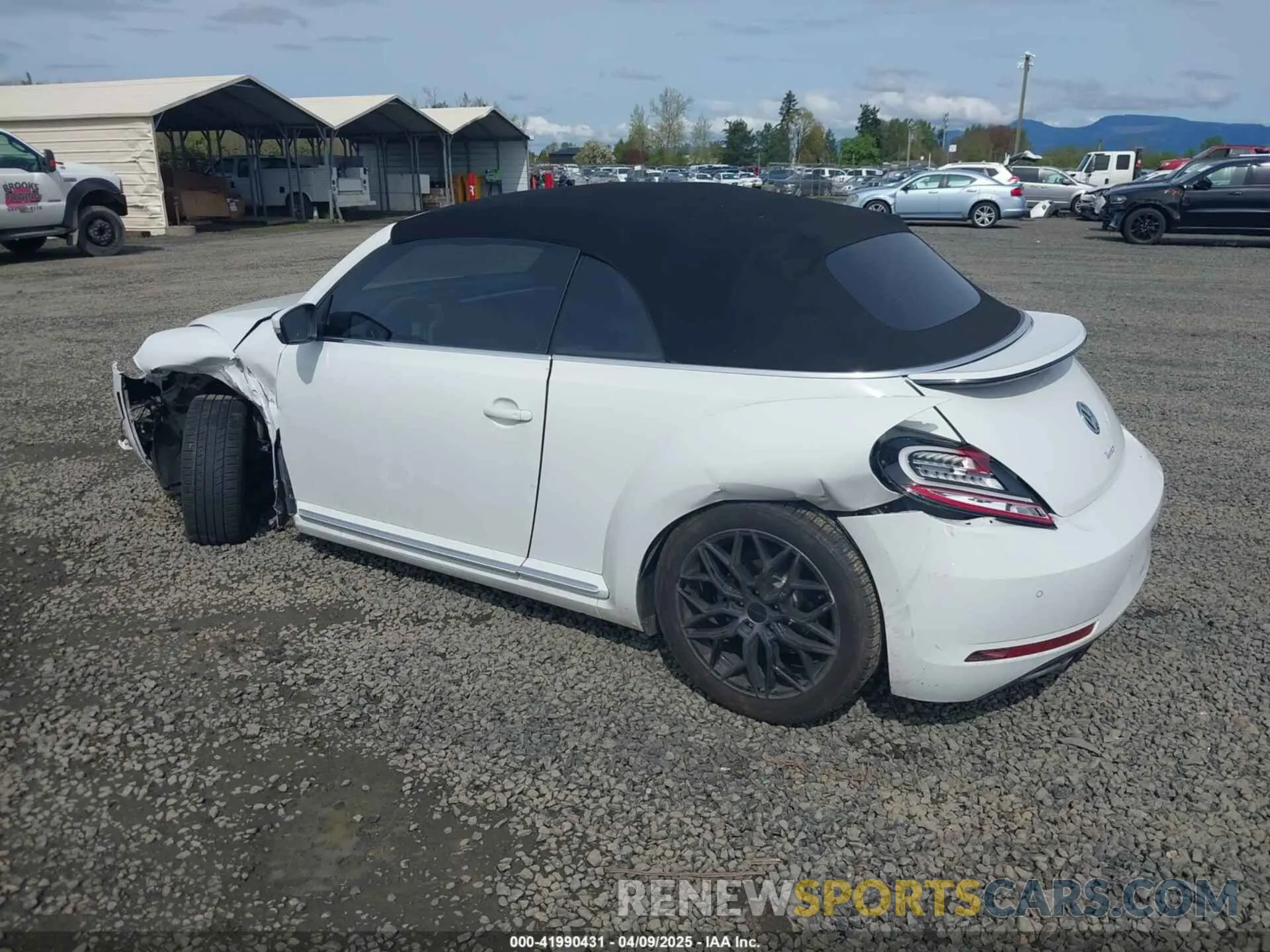 3 Photograph of a damaged car 3VW5DAAT3KM506167 VOLKSWAGEN BEETLE 2019