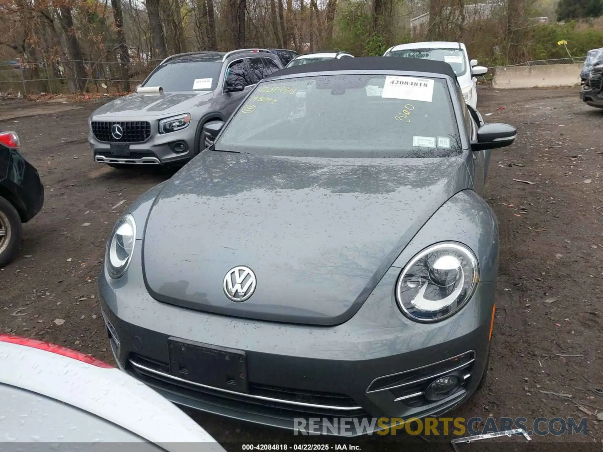 12 Photograph of a damaged car 3VW5DAAT6KM505210 VOLKSWAGEN BEETLE 2019
