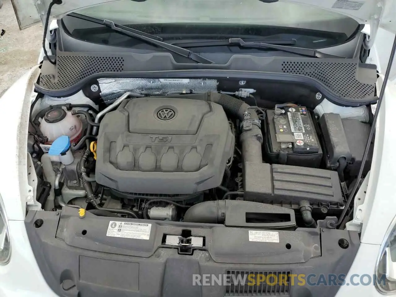 11 Photograph of a damaged car 3VW5DAAT9KM507517 VOLKSWAGEN BEETLE 2019