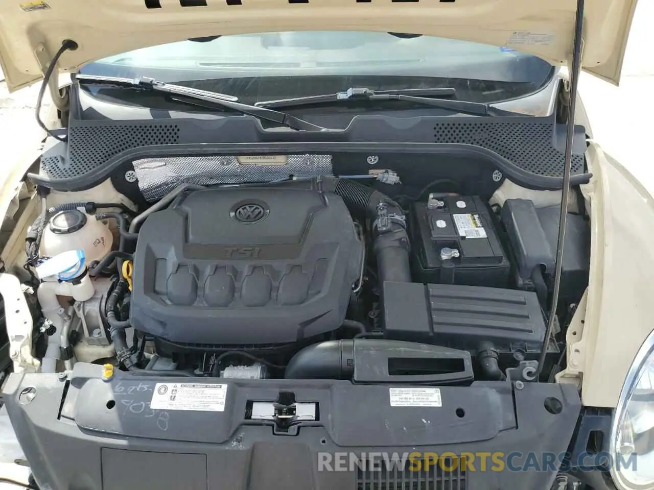 11 Photograph of a damaged car 3VW5DAATXKM500415 VOLKSWAGEN BEETLE 2019