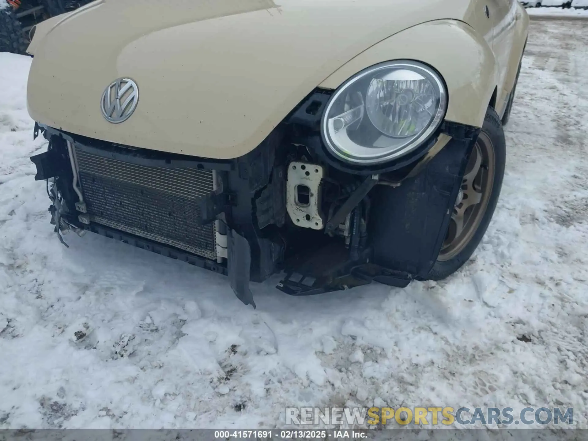 6 Photograph of a damaged car 3VWFD7AT1KM703684 VOLKSWAGEN BEETLE 2019