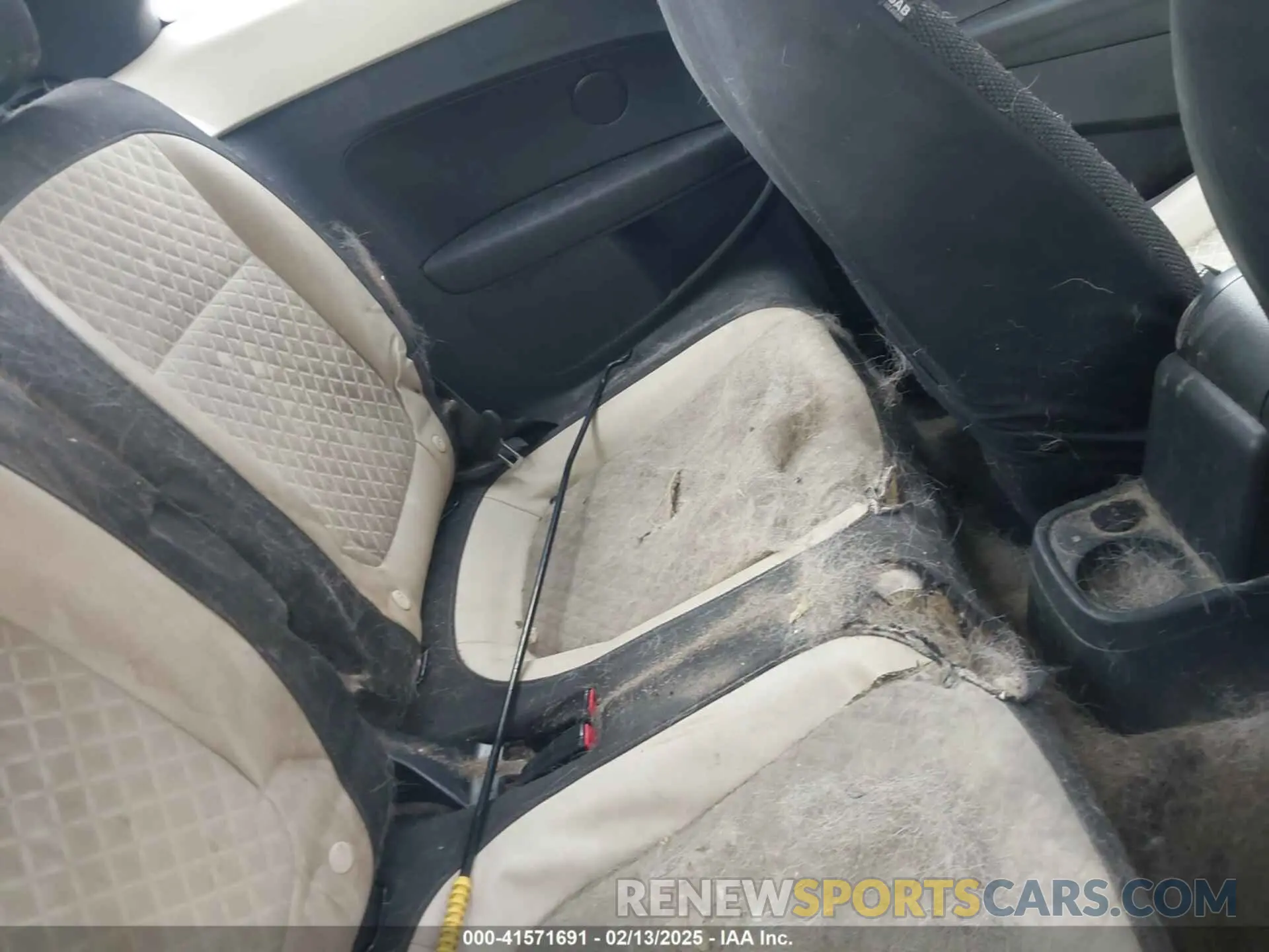 8 Photograph of a damaged car 3VWFD7AT1KM703684 VOLKSWAGEN BEETLE 2019