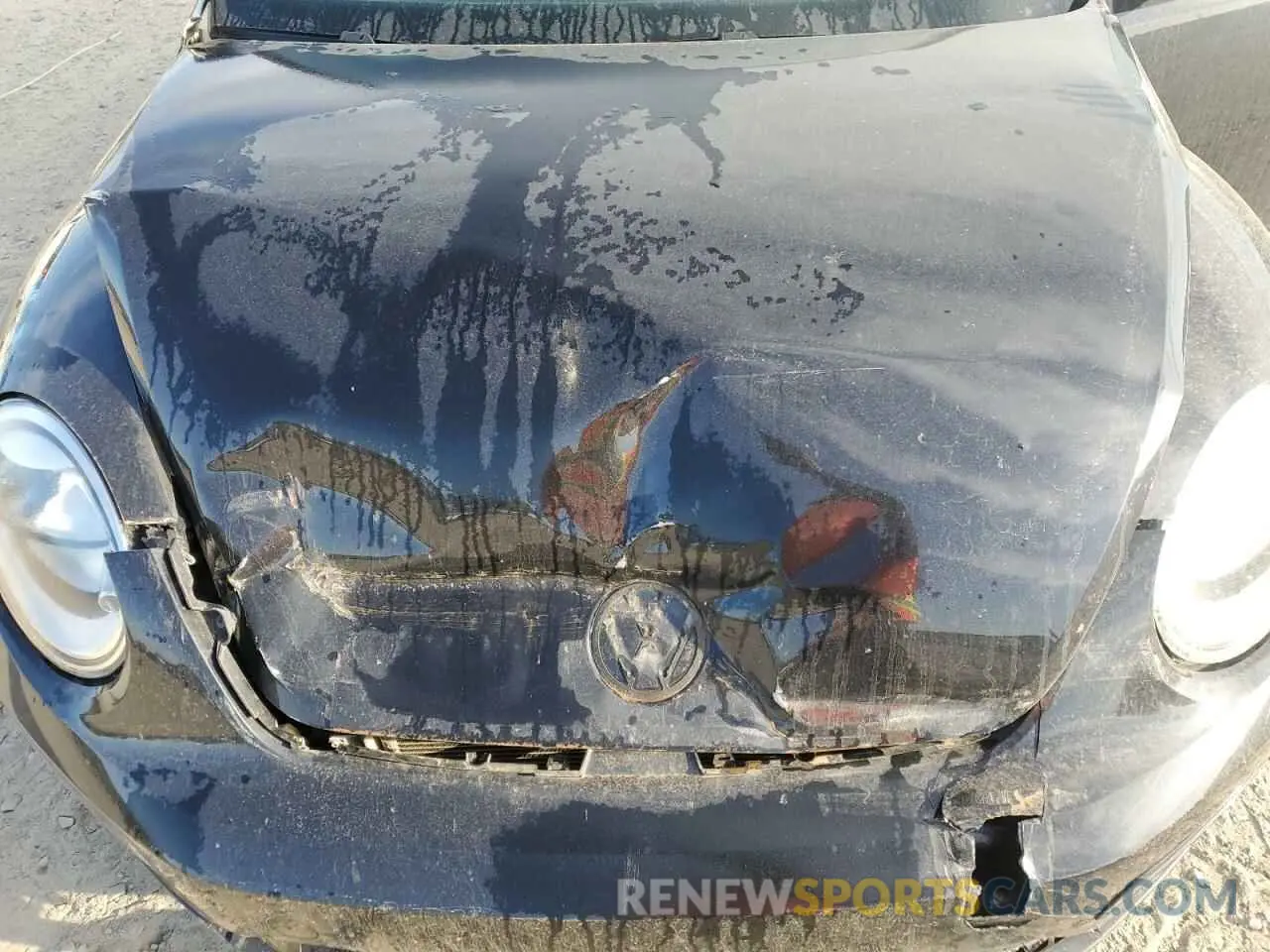 11 Photograph of a damaged car 3VWFD7ATXKM710844 VOLKSWAGEN BEETLE 2019