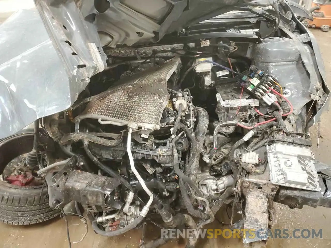 13 Photograph of a damaged car 3VW5T7BU8KM201096 VOLKSWAGEN JETTA 2019