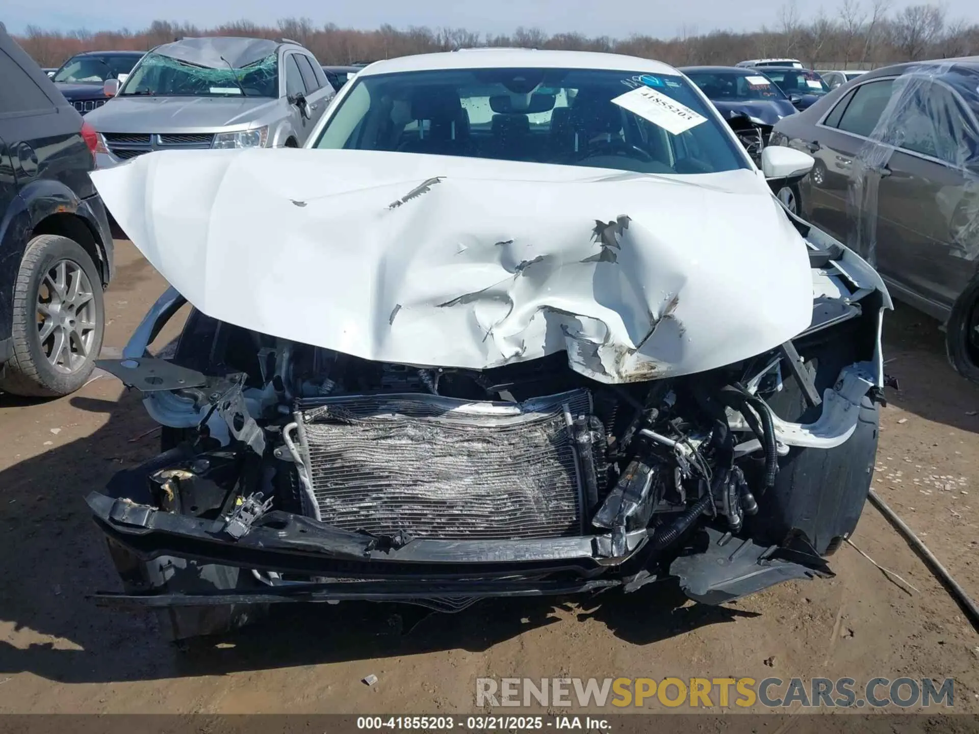 13 Photograph of a damaged car 1VWSA7A39LC021369 VOLKSWAGEN PASSAT 2020