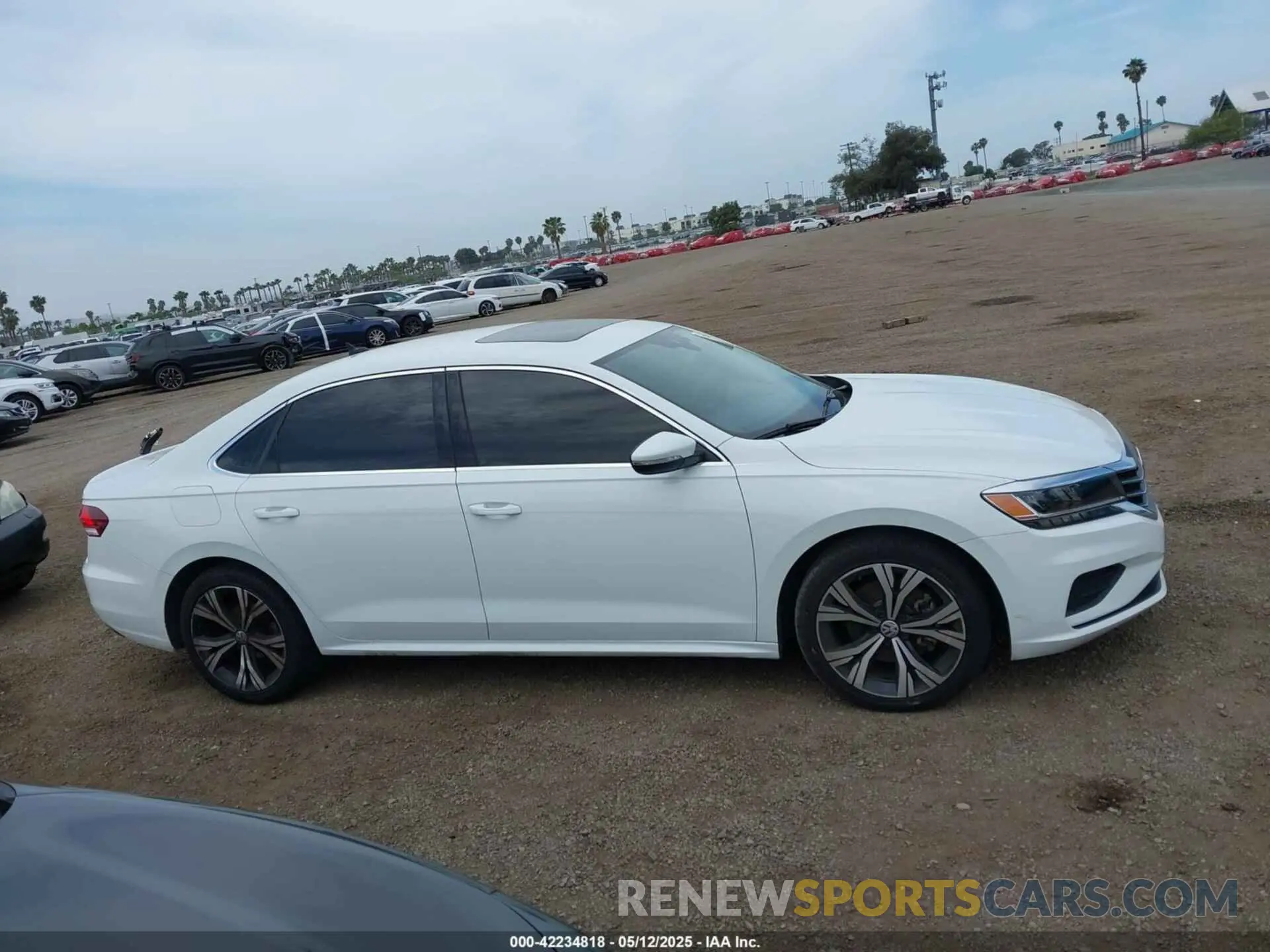 13 Photograph of a damaged car 1VWSA7A37NC005397 VOLKSWAGEN PASSAT 2022