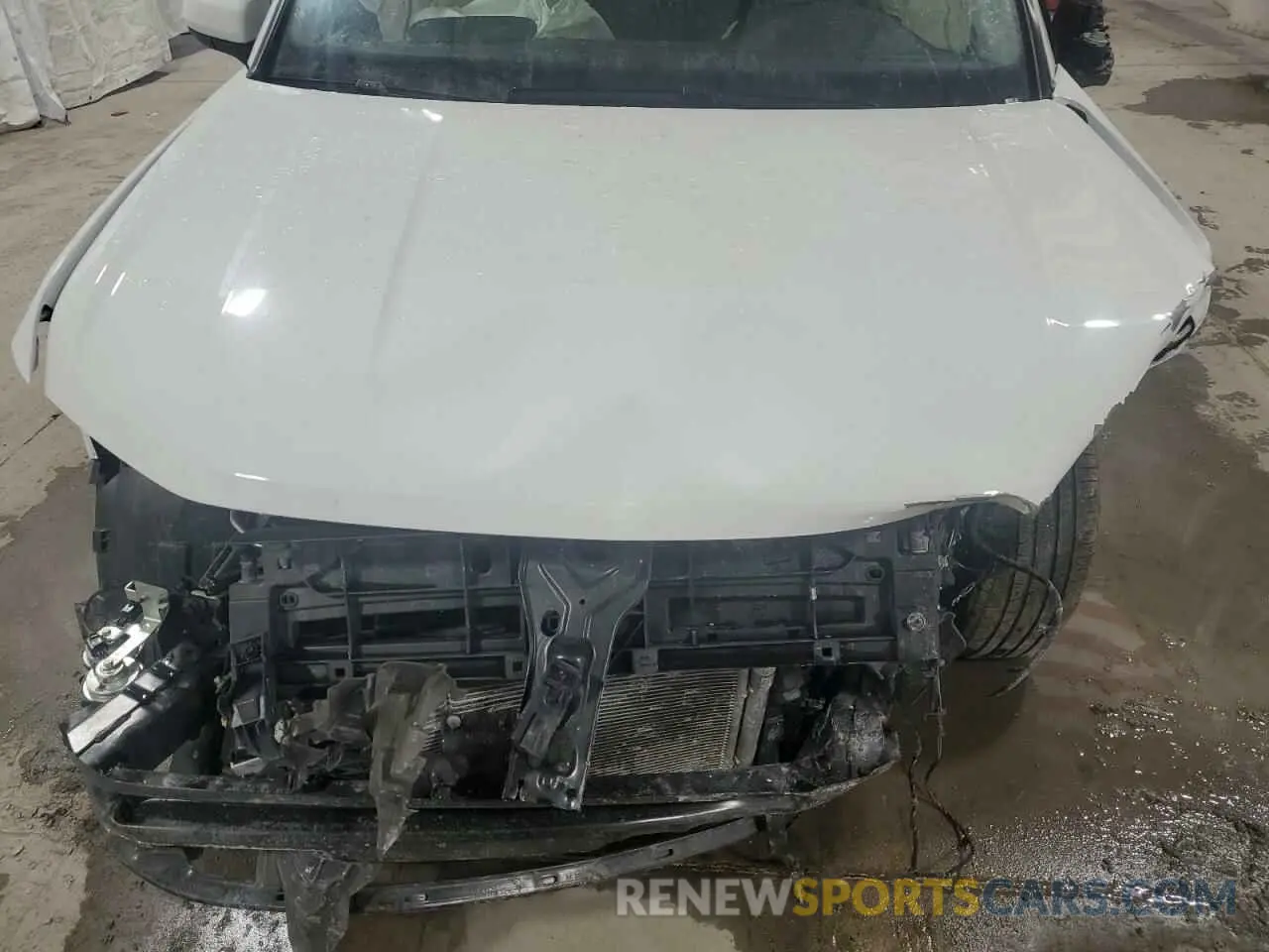 12 Photograph of a damaged car 3VVYX7B24PM332649 VOLKSWAGEN TAOS SE 2023