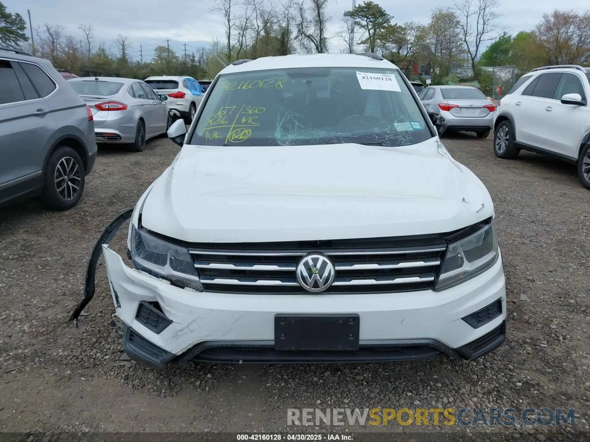 12 Photograph of a damaged car 3VV0B7AX9KM055305 VOLKSWAGEN TIGUAN 2019