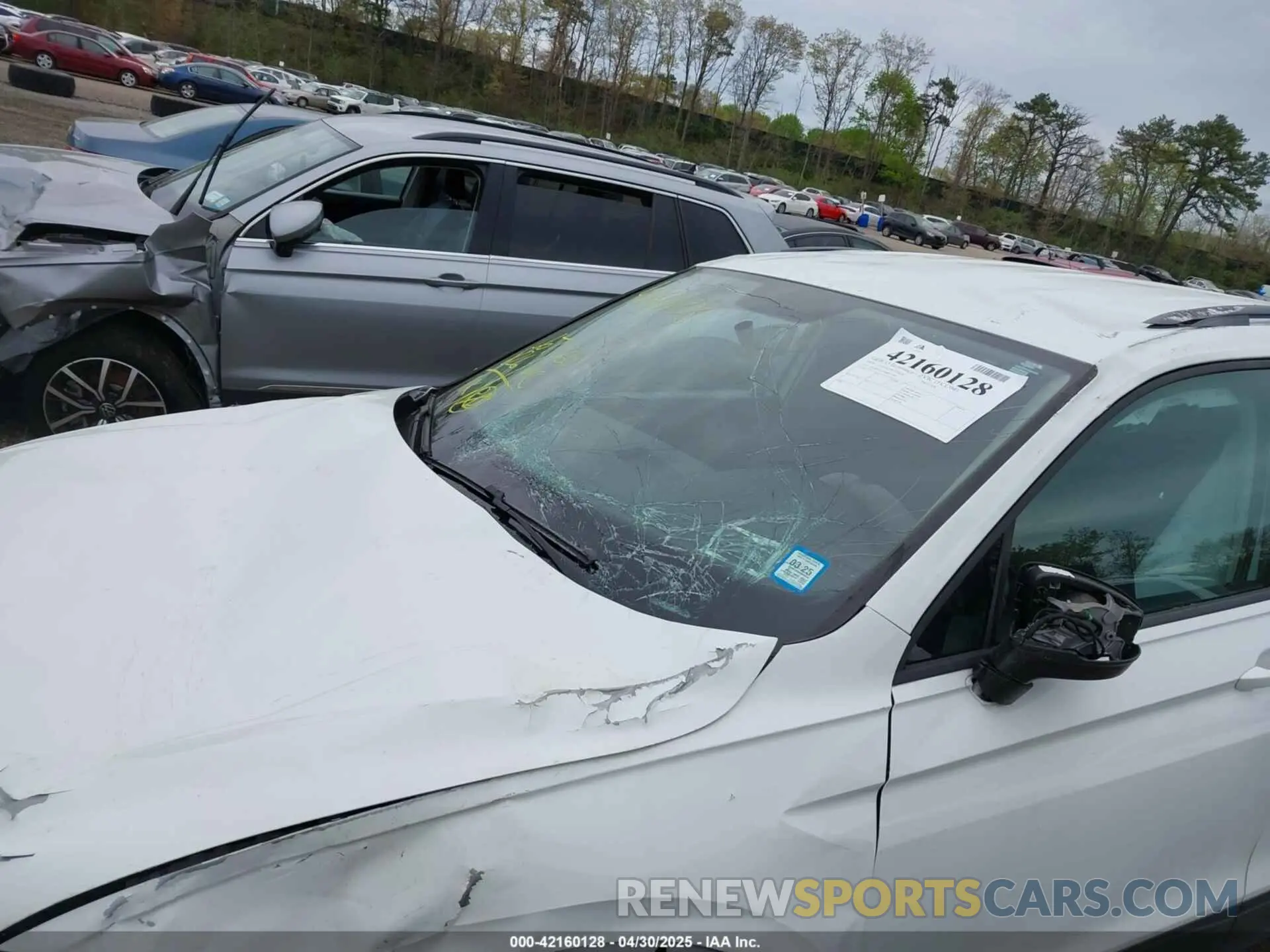 6 Photograph of a damaged car 3VV0B7AX9KM055305 VOLKSWAGEN TIGUAN 2019