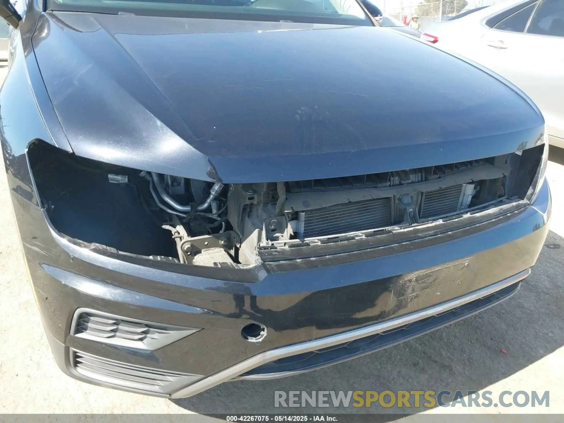 6 Photograph of a damaged car 3VV1B7AX5KM187174 VOLKSWAGEN TIGUAN 2019