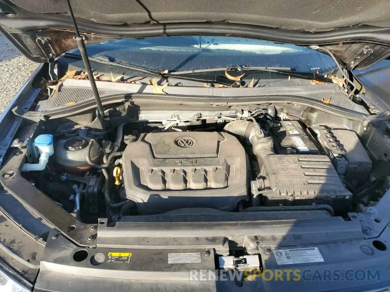 12 Photograph of a damaged car 3VV1B7AX7KM009136 VOLKSWAGEN TIGUAN 2019