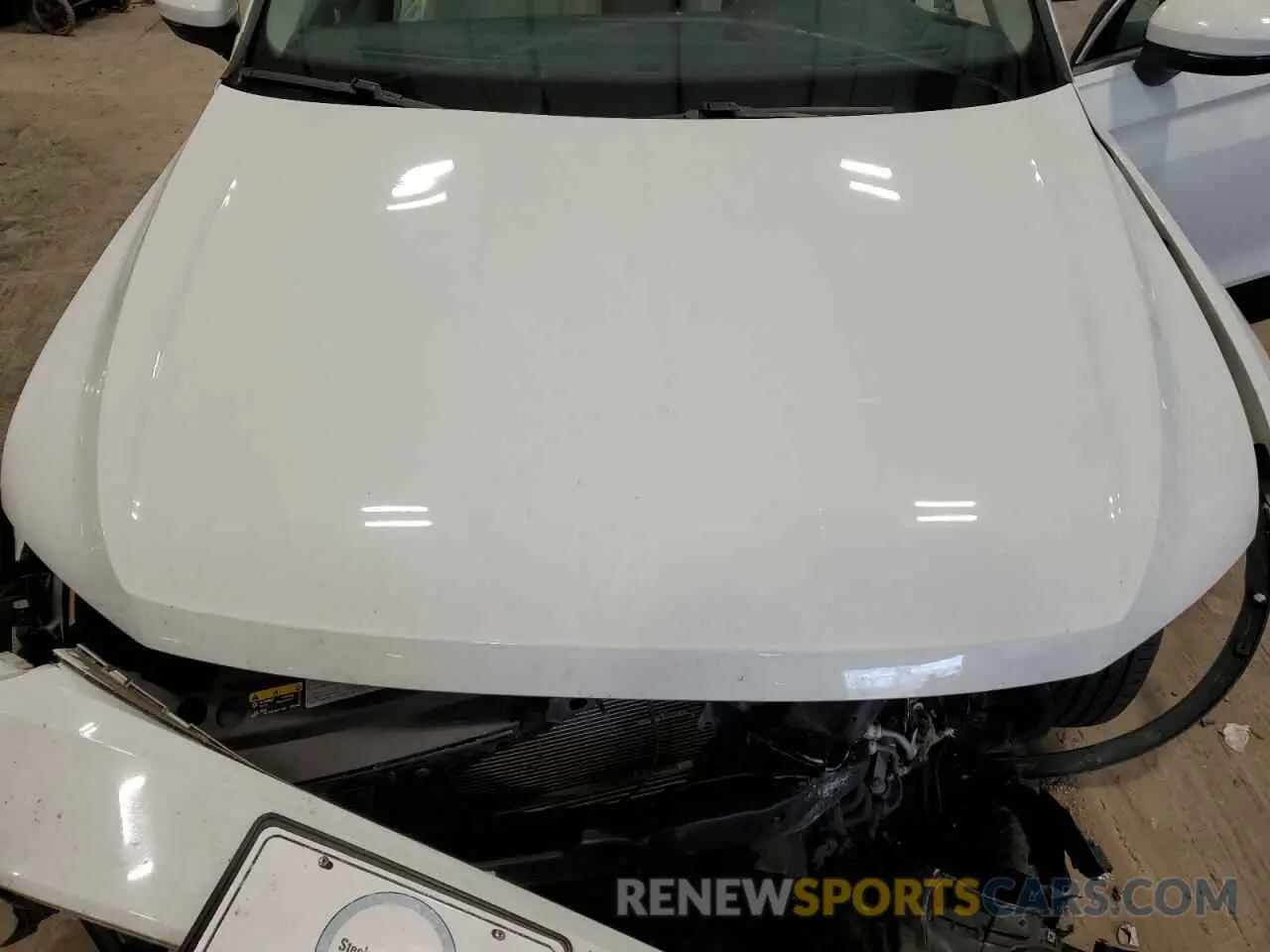 12 Photograph of a damaged car 3VV2B7AX0KM157357 VOLKSWAGEN TIGUAN 2019