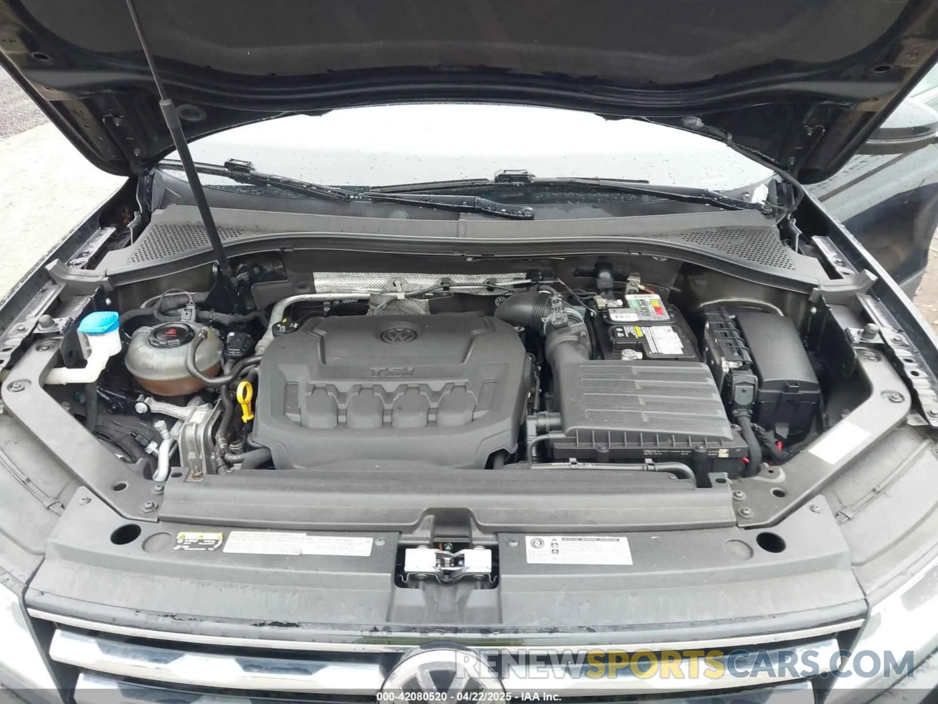 10 Photograph of a damaged car 3VV2B7AX1KM016264 VOLKSWAGEN TIGUAN 2019