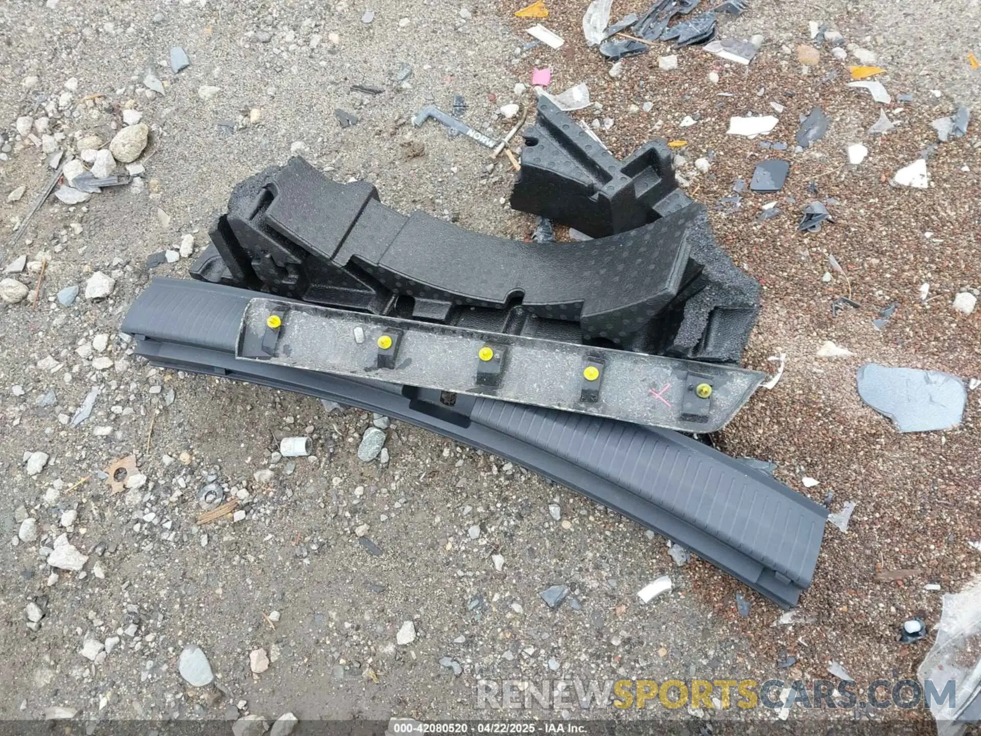 12 Photograph of a damaged car 3VV2B7AX1KM016264 VOLKSWAGEN TIGUAN 2019