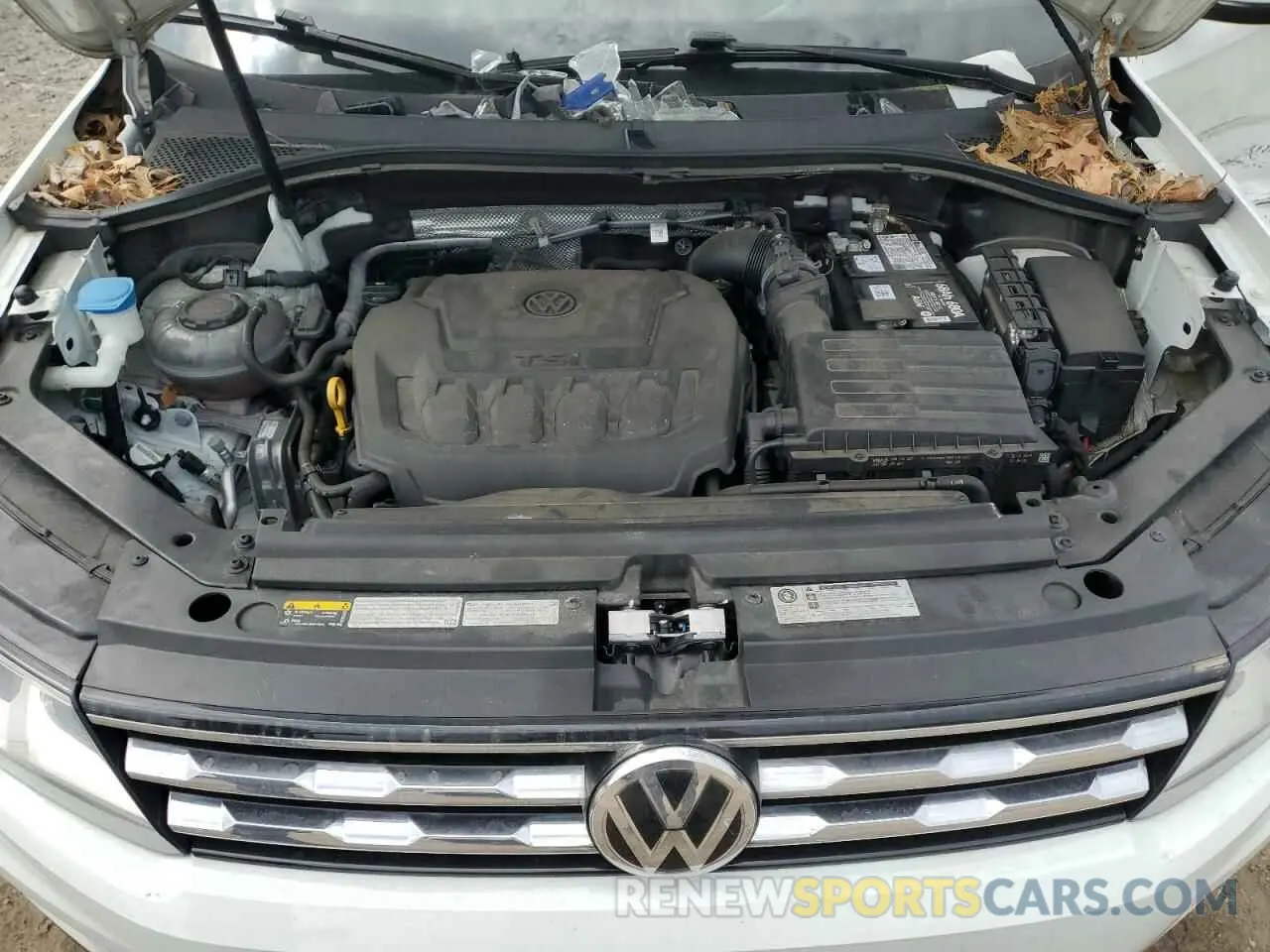 12 Photograph of a damaged car 3VV2B7AX3KM087823 VOLKSWAGEN TIGUAN 2019