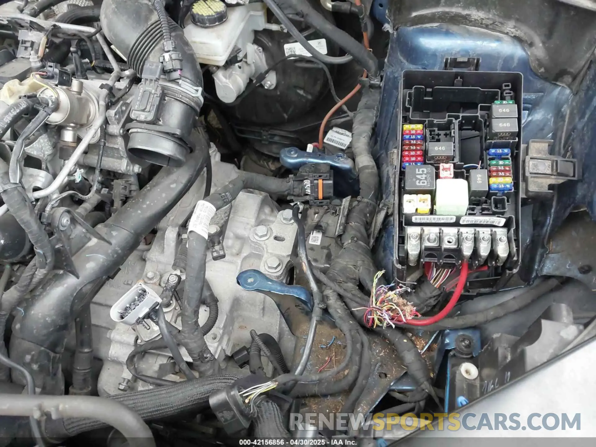 6 Photograph of a damaged car 3VV2B7AX4KM127018 VOLKSWAGEN TIGUAN 2019