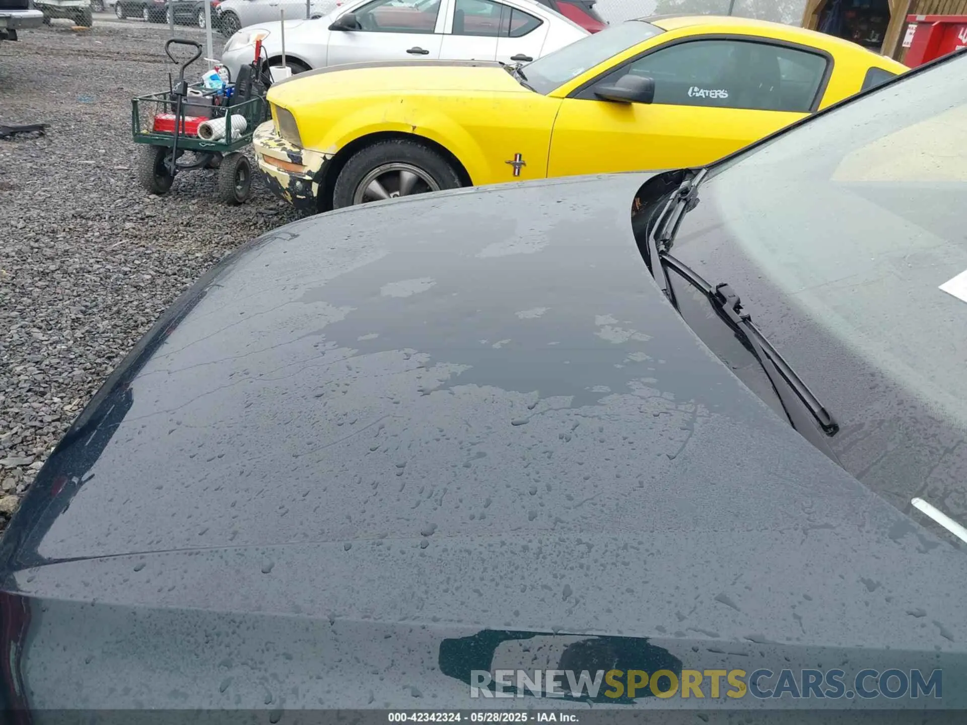 6 Photograph of a damaged car 3VV2B7AX8KM028878 VOLKSWAGEN TIGUAN 2019