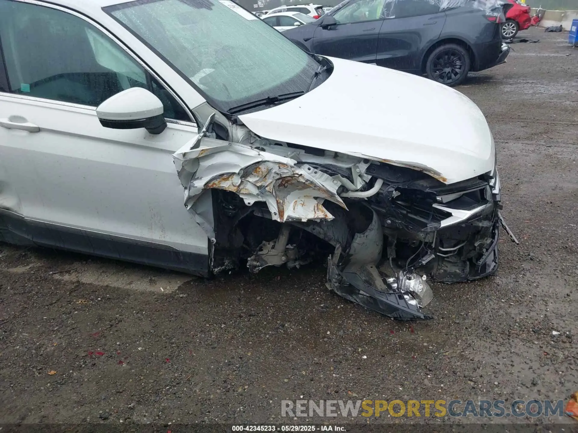 6 Photograph of a damaged car 3VV2B7AXXKM009359 VOLKSWAGEN TIGUAN 2019