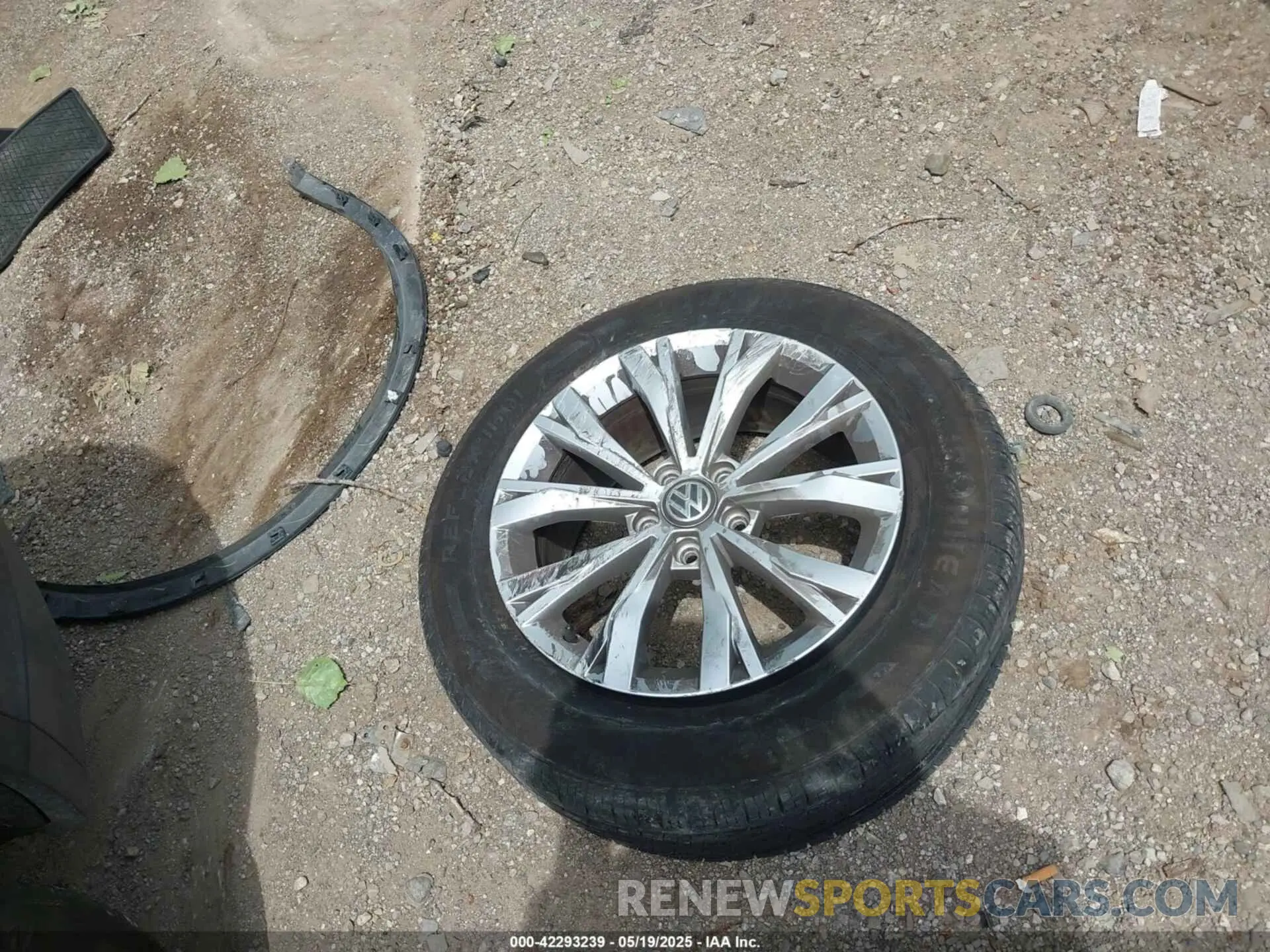 12 Photograph of a damaged car 3VV2B7AXXKM042488 VOLKSWAGEN TIGUAN 2019