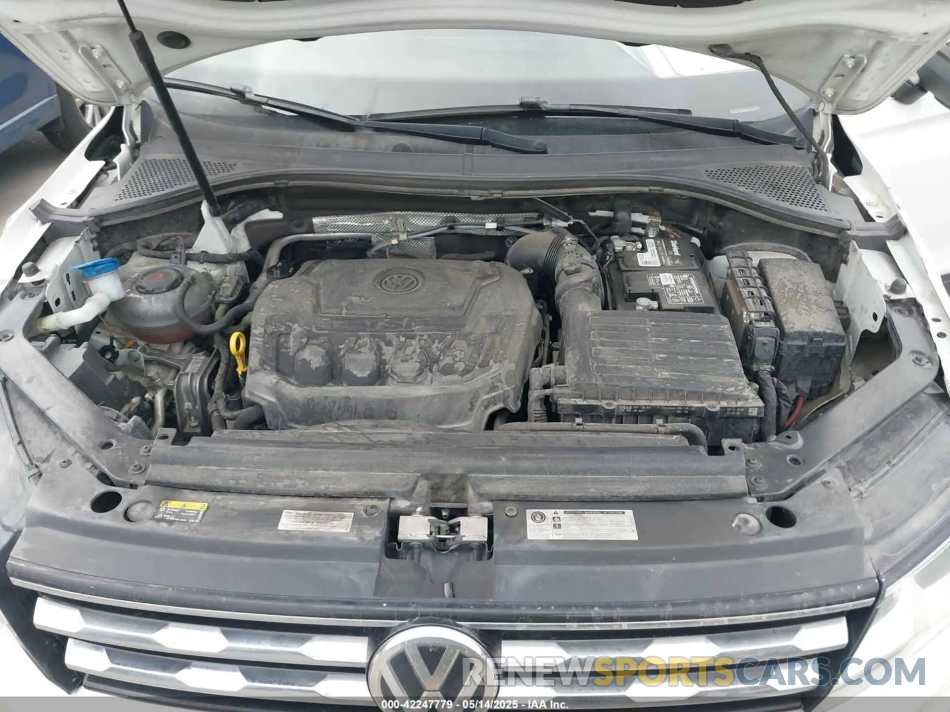 10 Photograph of a damaged car 3VV3B7AX2KM044451 VOLKSWAGEN TIGUAN 2019