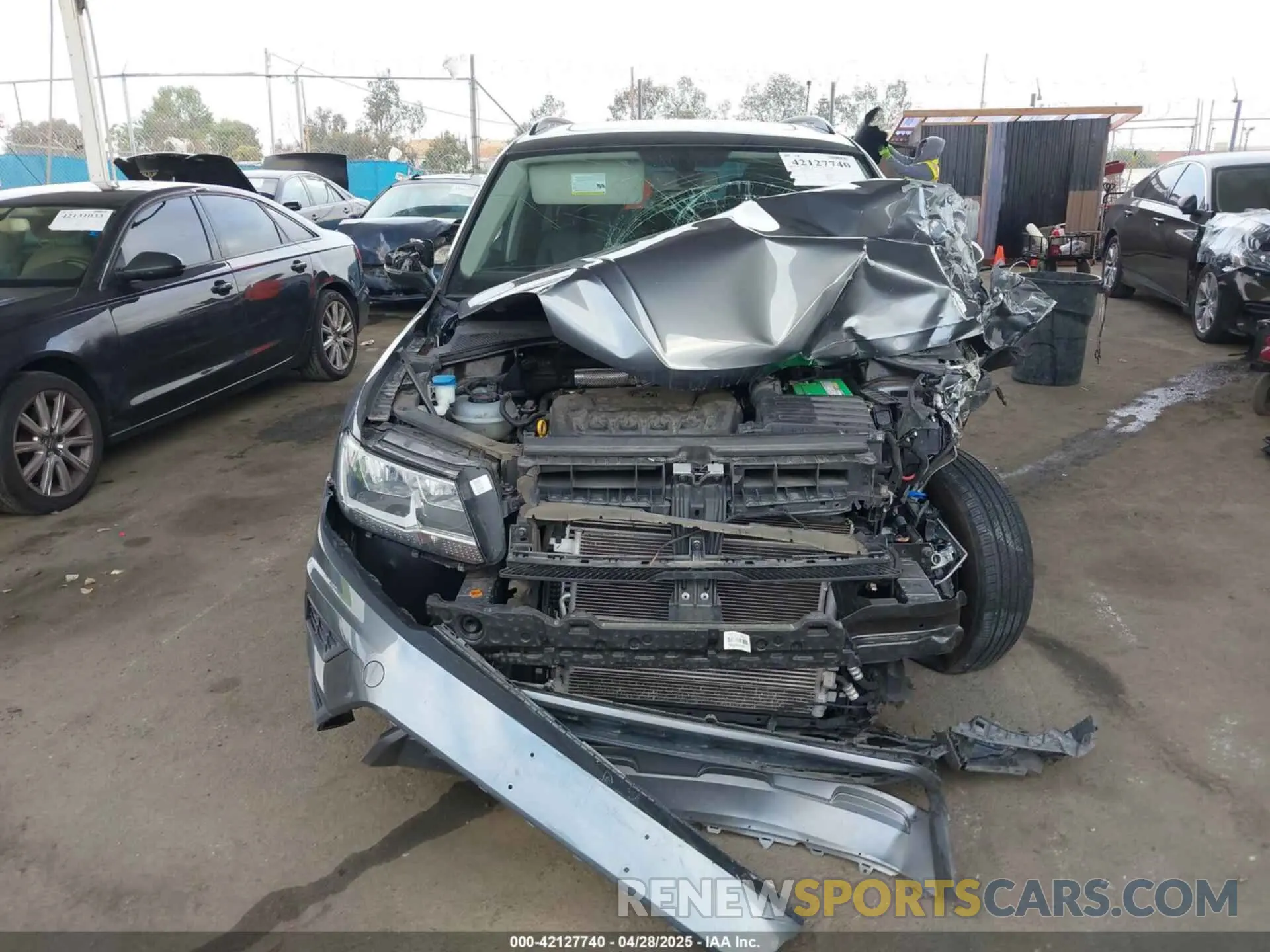 12 Photograph of a damaged car 3VV3B7AX5KM161599 VOLKSWAGEN TIGUAN 2019