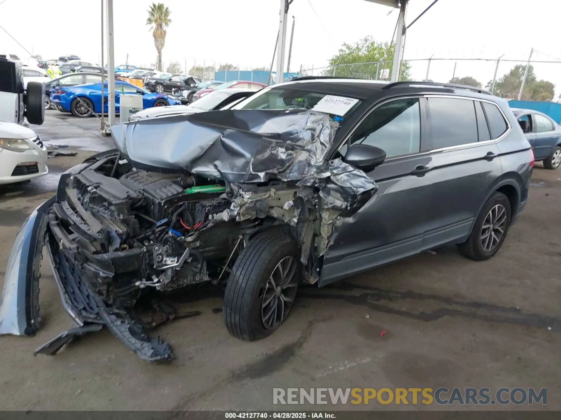 14 Photograph of a damaged car 3VV3B7AX5KM161599 VOLKSWAGEN TIGUAN 2019
