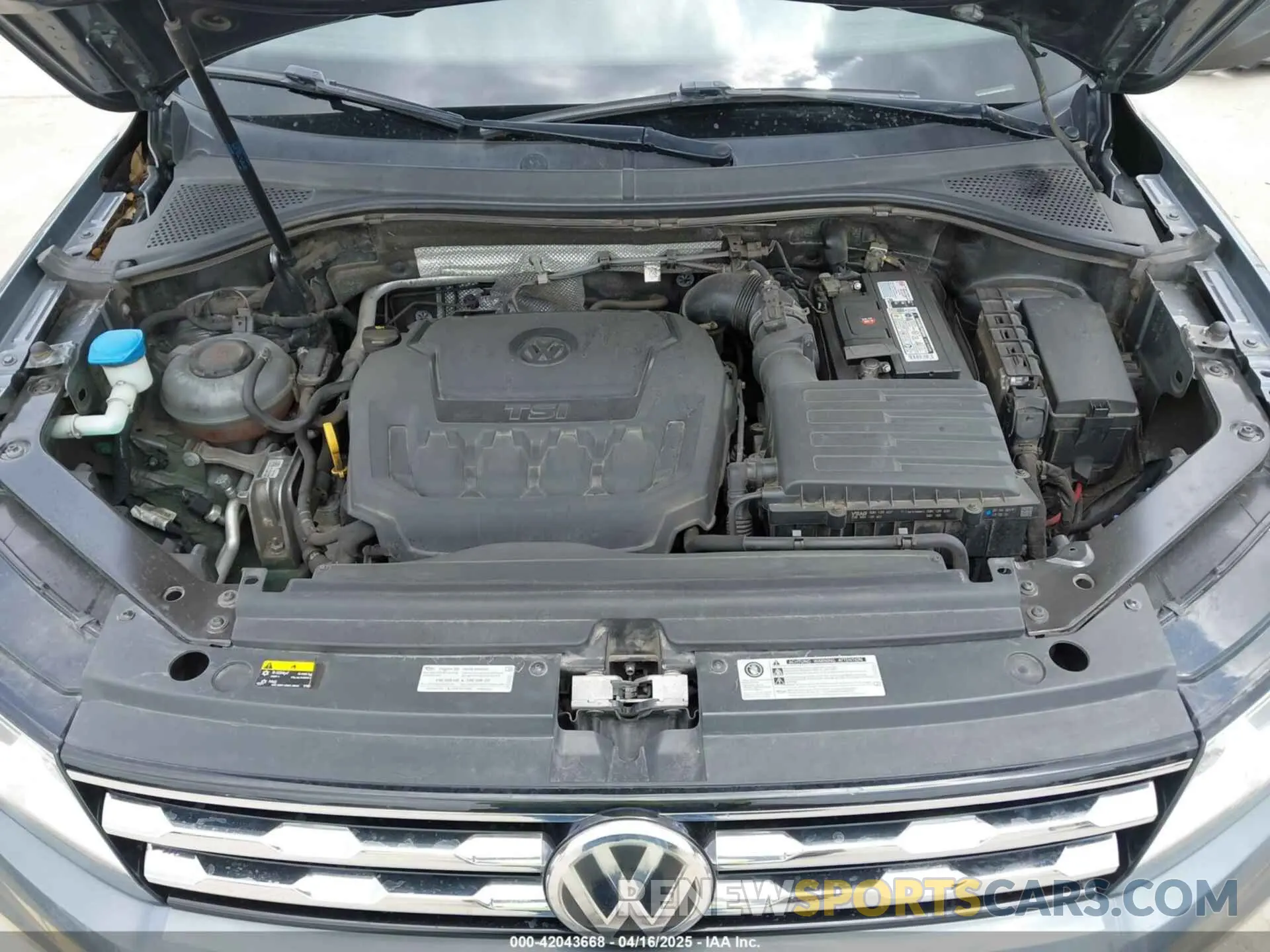 10 Photograph of a damaged car 3VV3B7AX8KM144134 VOLKSWAGEN TIGUAN 2019