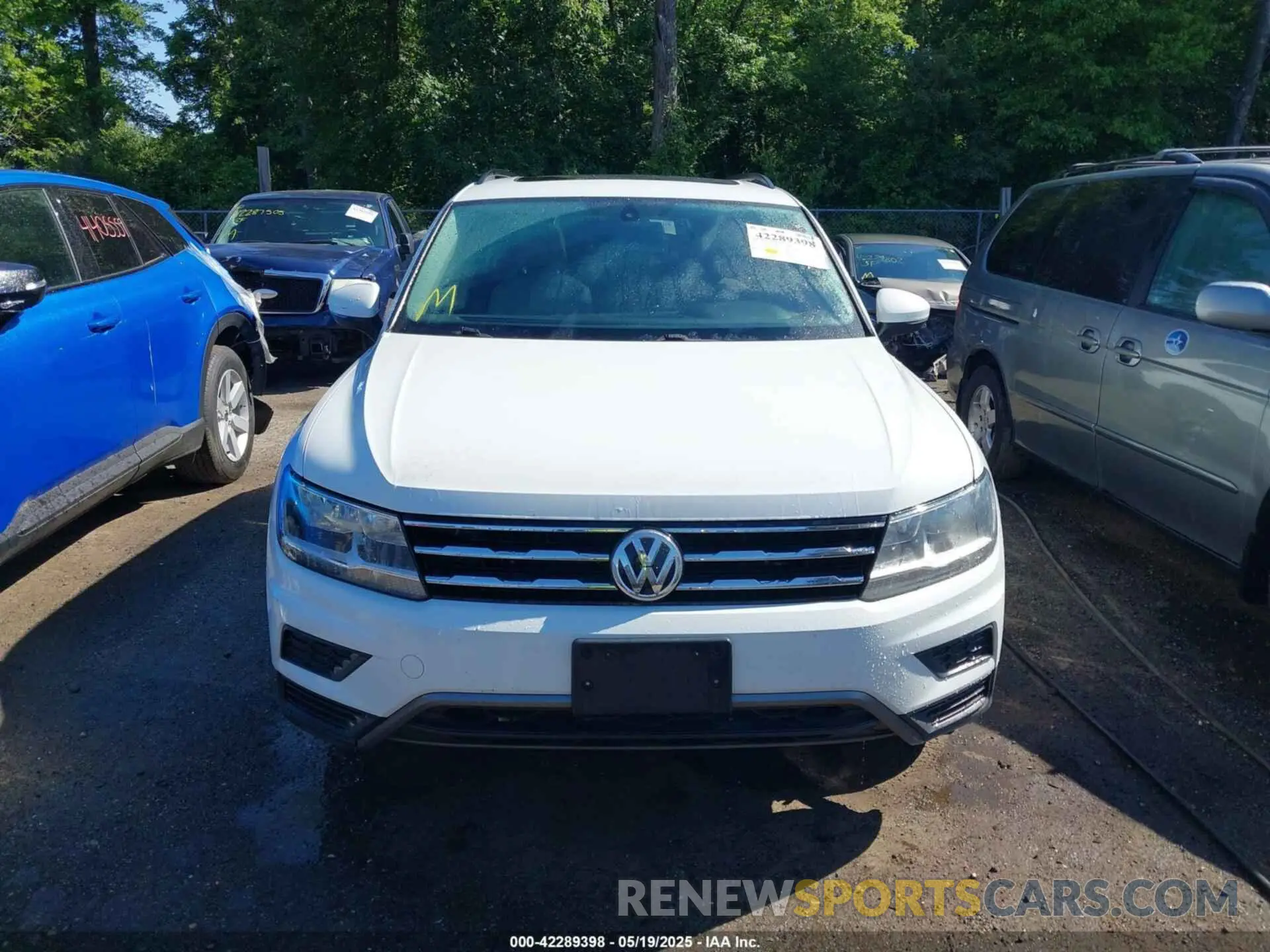 12 Photograph of a damaged car 3VV2B7AX5LM062536 VOLKSWAGEN TIGUAN 2020