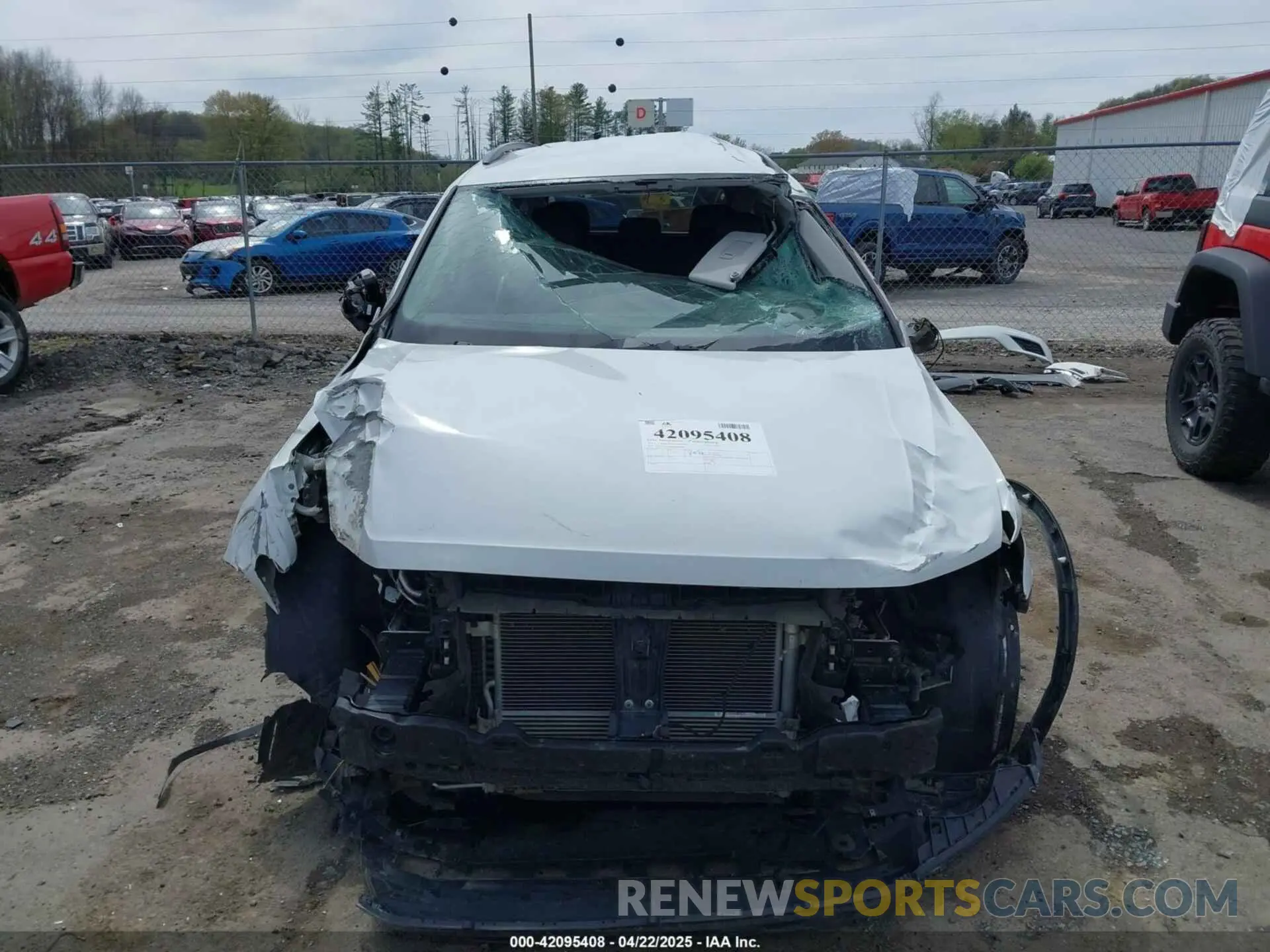 6 Photograph of a damaged car 3VV2B7AX4MM044806 VOLKSWAGEN TIGUAN 2021