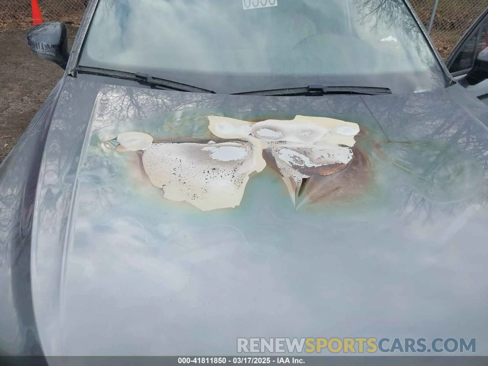 6 Photograph of a damaged car 3VV2B7AX5MM126415 VOLKSWAGEN TIGUAN 2021