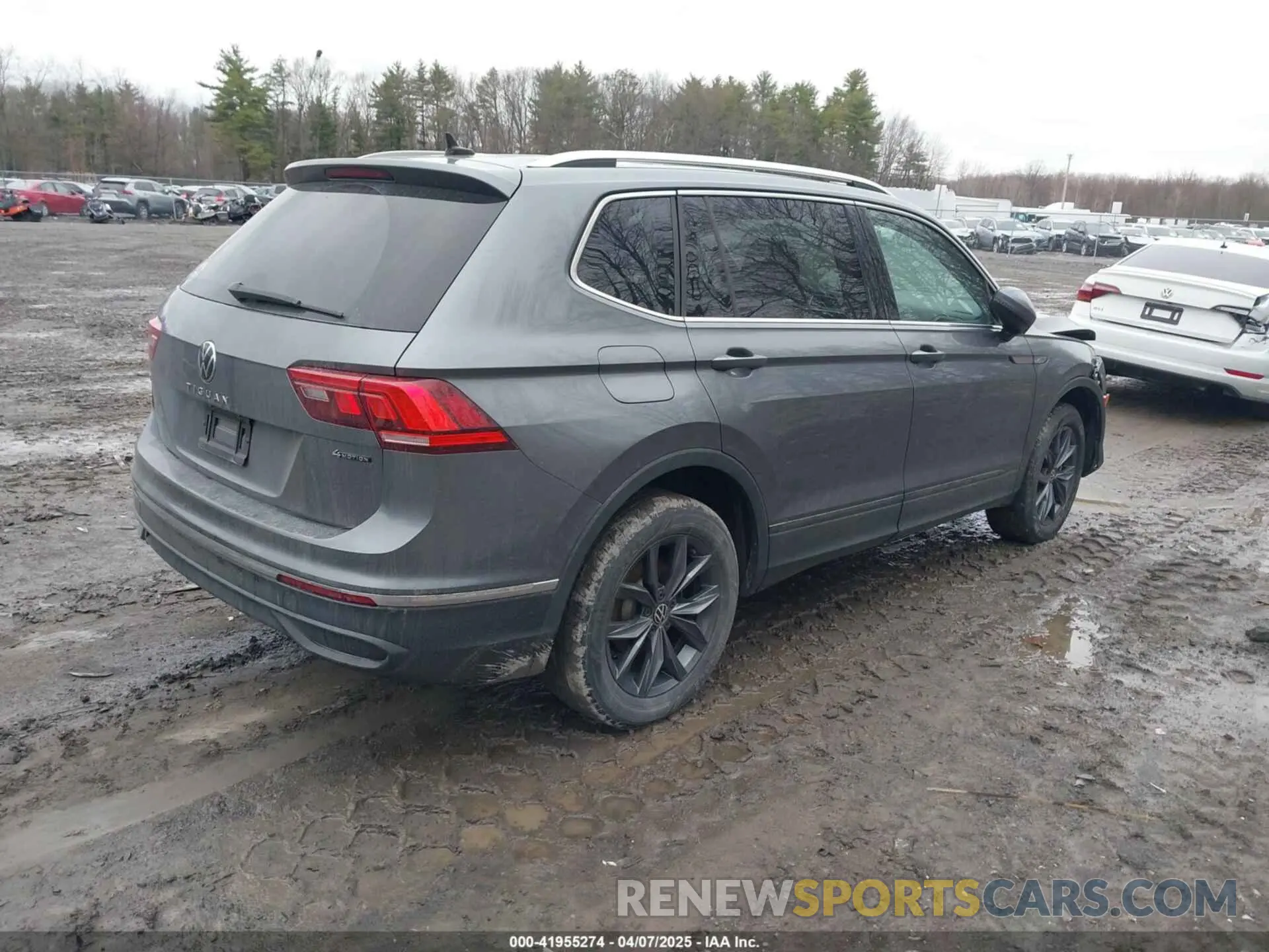 4 Photograph of a damaged car 3VV2B7AX4NM126181 VOLKSWAGEN TIGUAN 2022