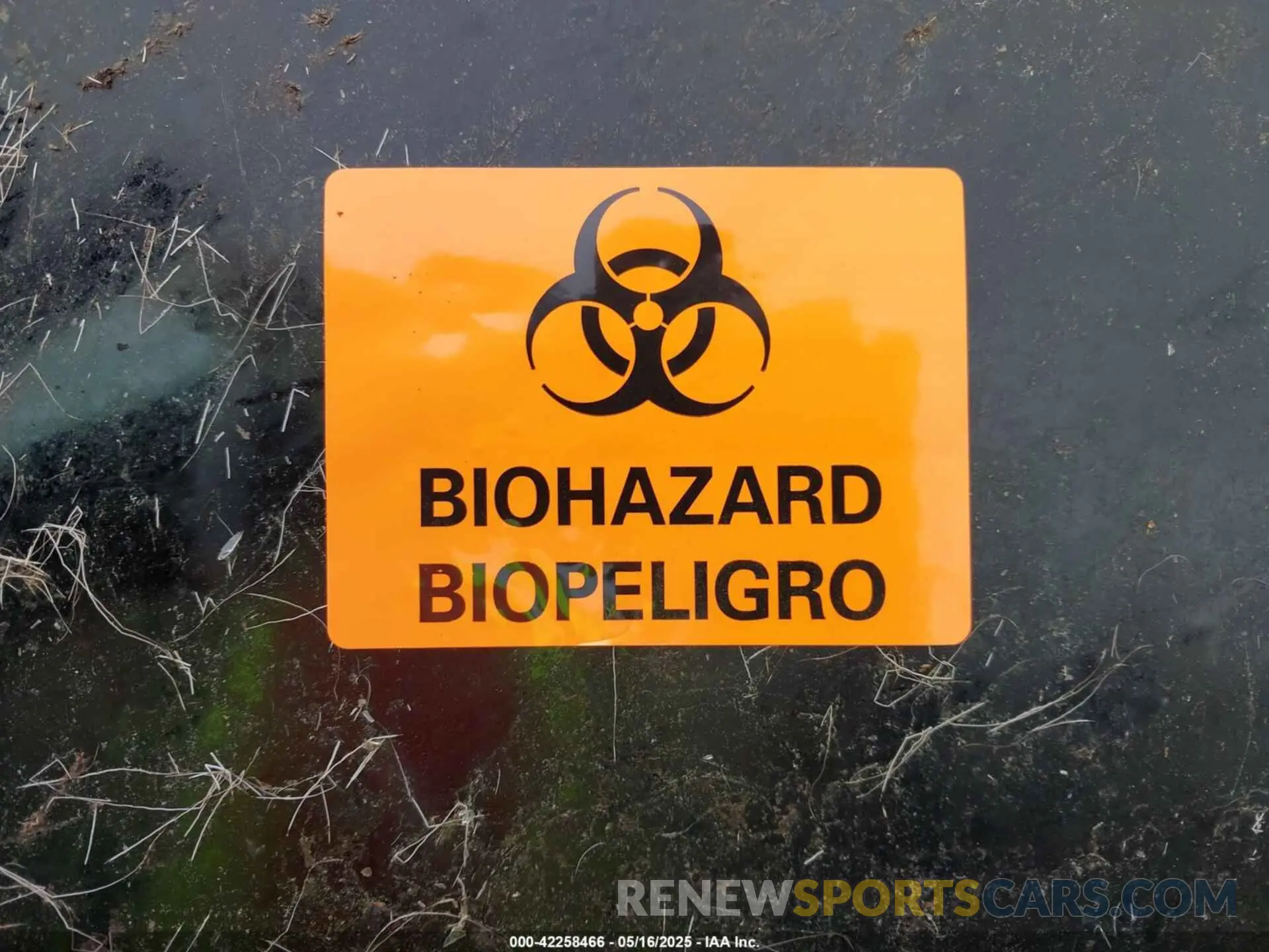 10 Photograph of a damaged car 3VV8B7AX8NM006023 VOLKSWAGEN TIGUAN 2022