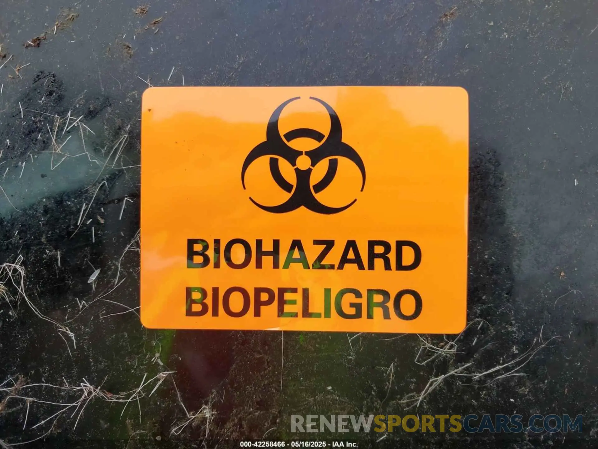 7 Photograph of a damaged car 3VV8B7AX8NM006023 VOLKSWAGEN TIGUAN 2022