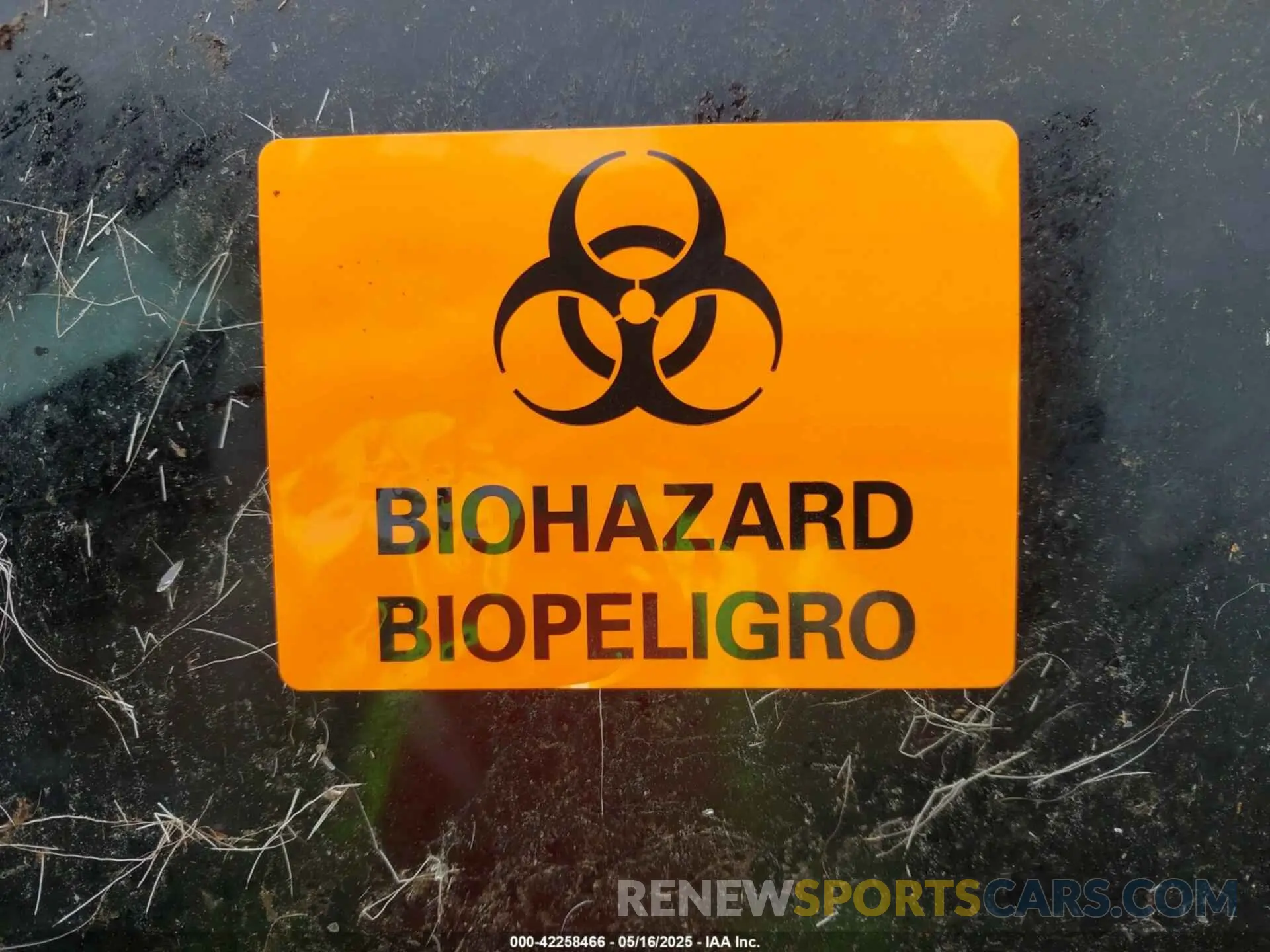 8 Photograph of a damaged car 3VV8B7AX8NM006023 VOLKSWAGEN TIGUAN 2022