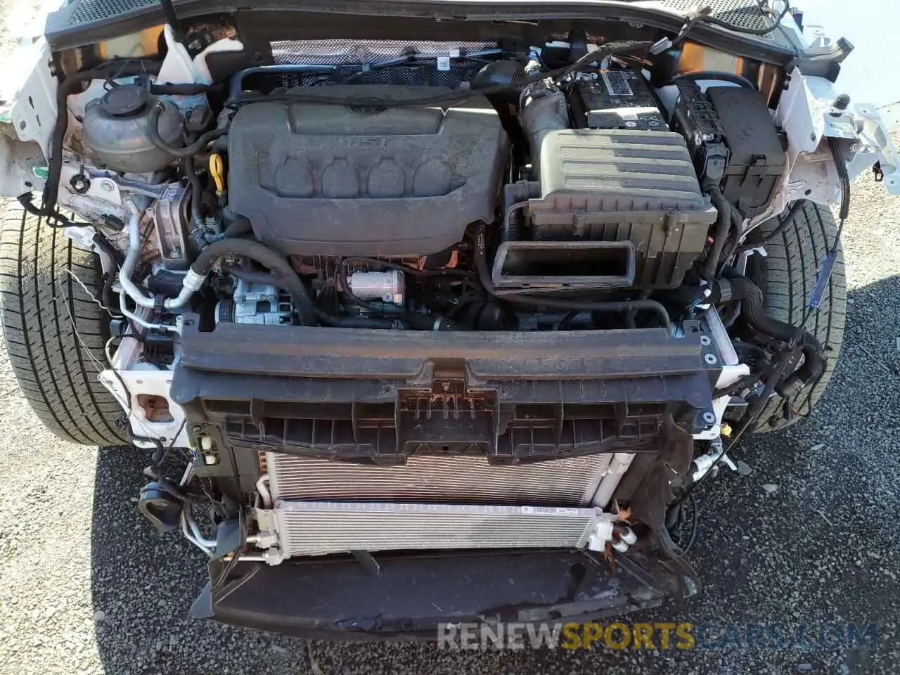 12 Photograph of a damaged car 3VVRB7AX2PM119666 VOLKSWAGEN TIGUAN 2023