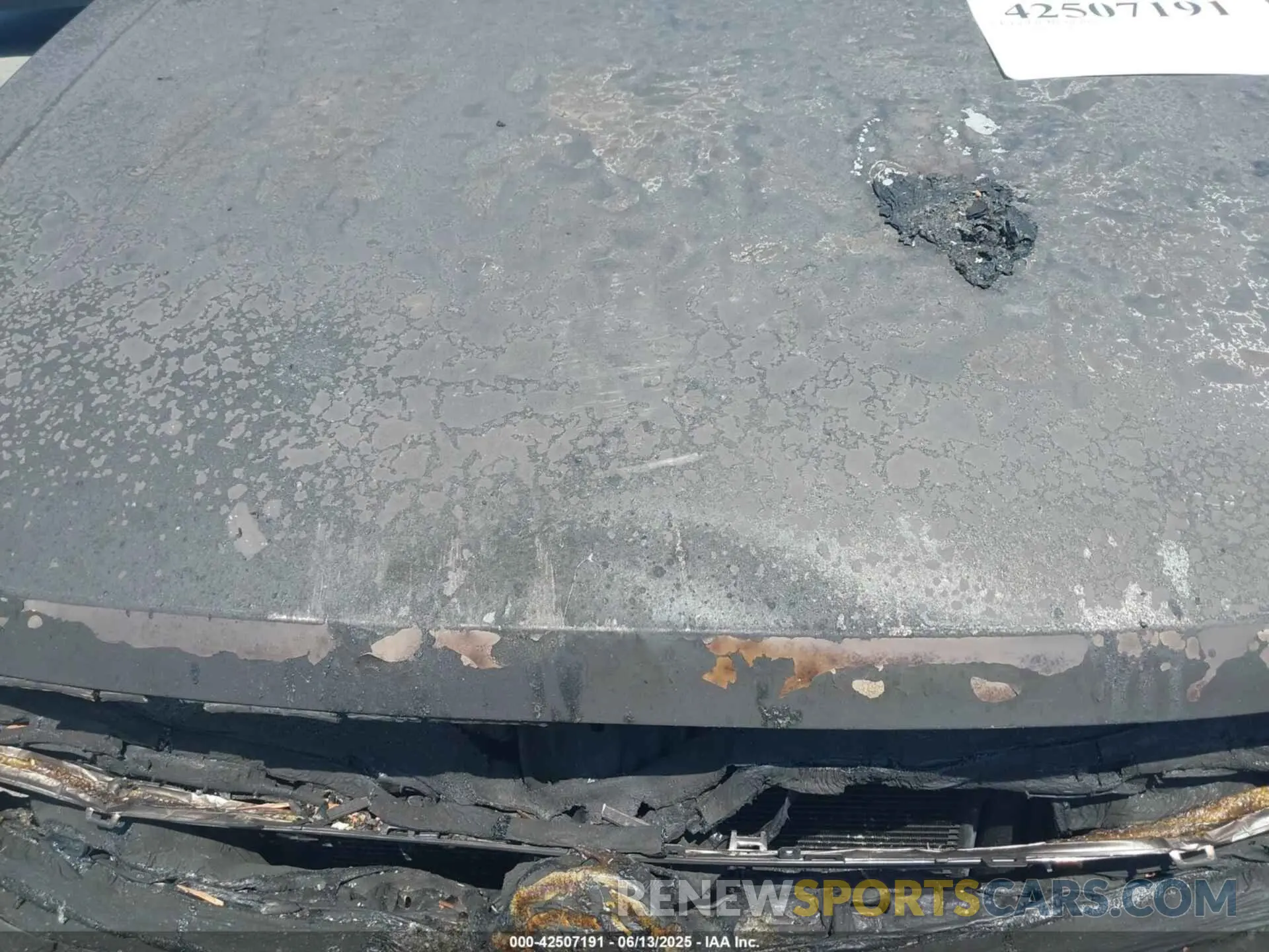 10 Photograph of a damaged car 03VVCB7AX3RM19423 VOLKSWAGEN TIGUAN 2024