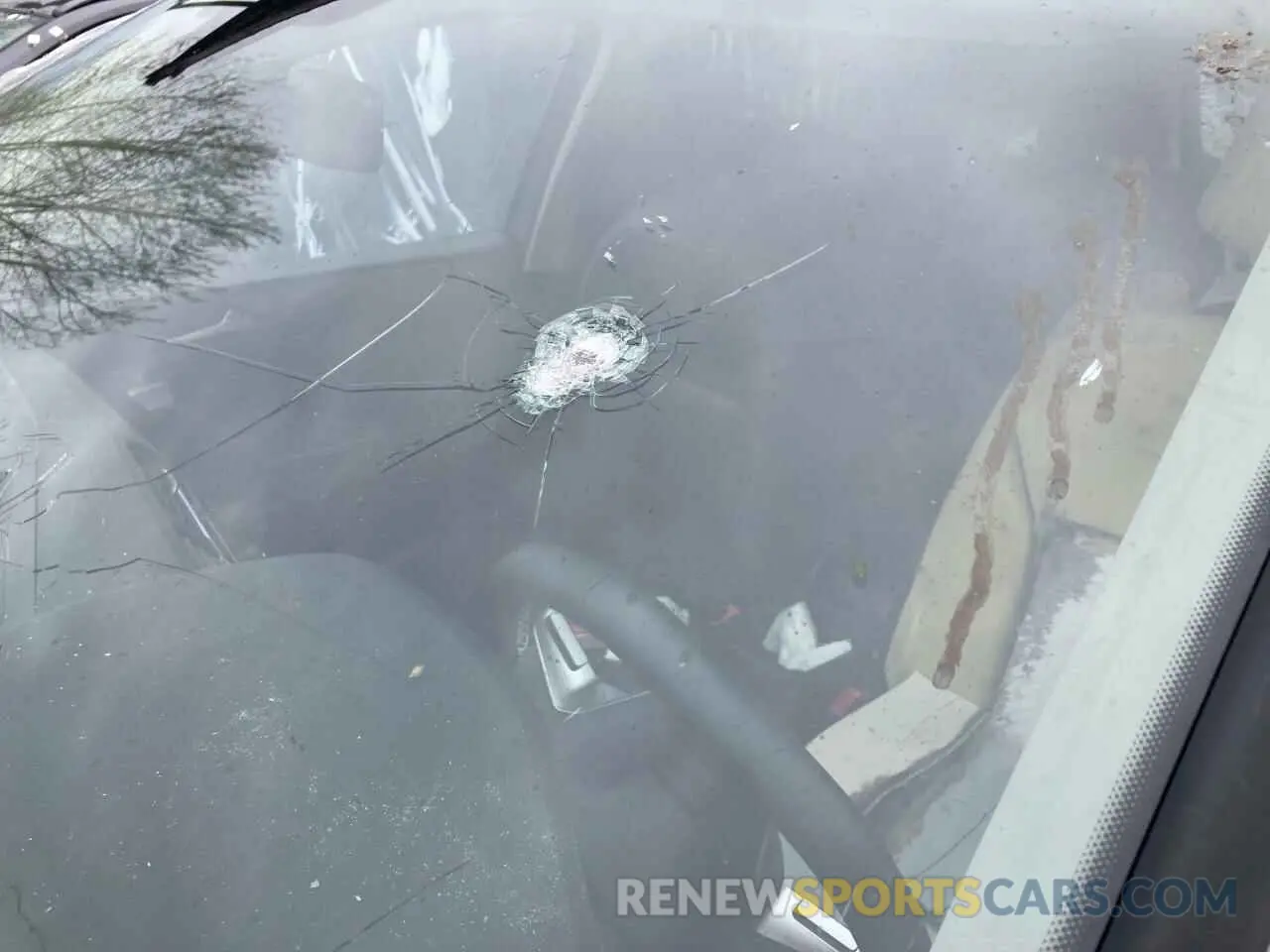 7 Photograph of a damaged car 3VV2B7AX2RM123429 VOLKSWAGEN TIGUAN 2024