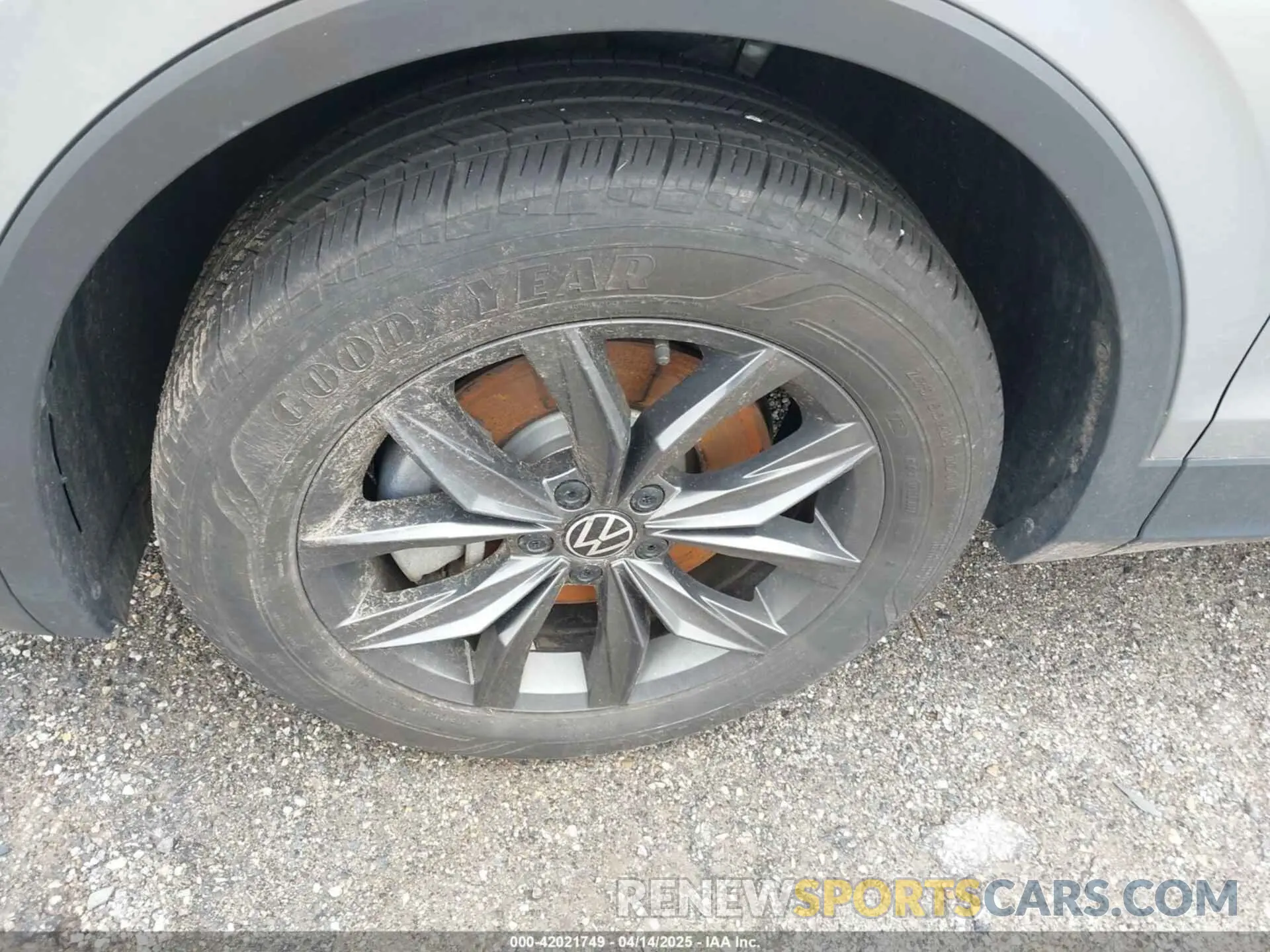 12 Photograph of a damaged car 3VV2B7AX3RM029625 VOLKSWAGEN TIGUAN 2024