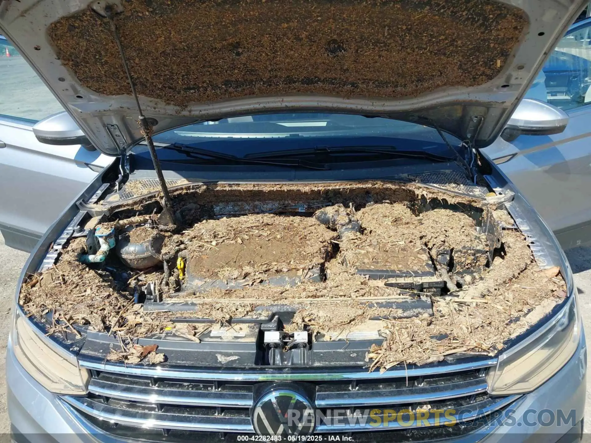 10 Photograph of a damaged car 3VV2B7AX6RM033930 VOLKSWAGEN TIGUAN 2024