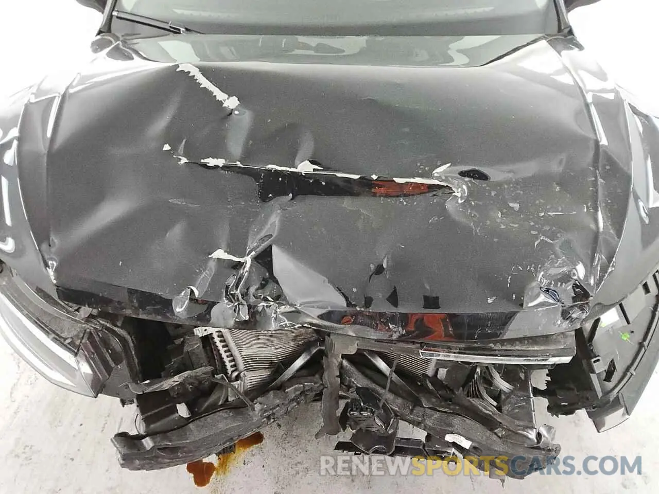 12 Photograph of a damaged car 3VV3B7AX2RM125086 VOLKSWAGEN TIGUAN 2024