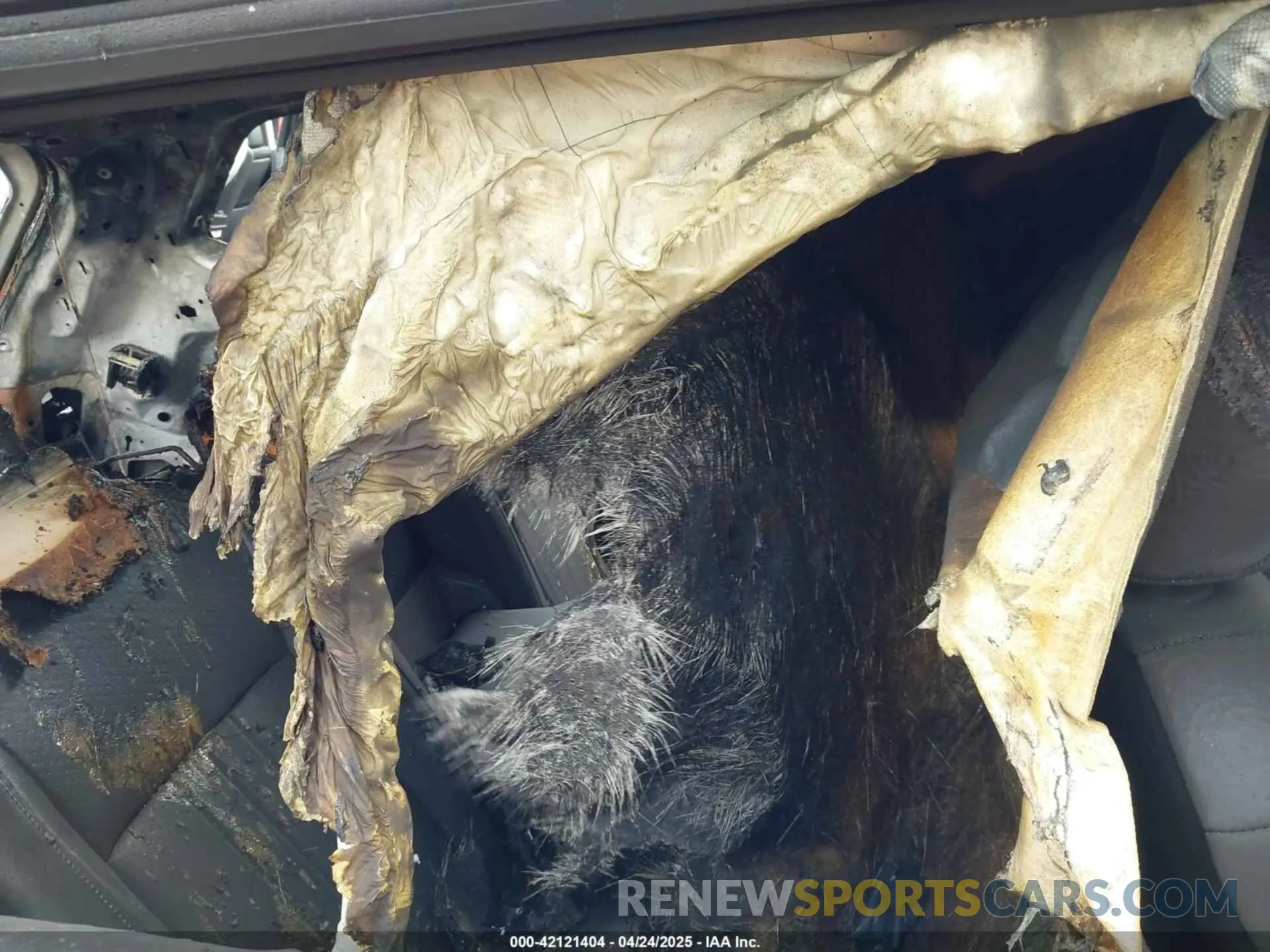 8 Photograph of a damaged car 3VV3B7AX5RM067524 VOLKSWAGEN TIGUAN 2024