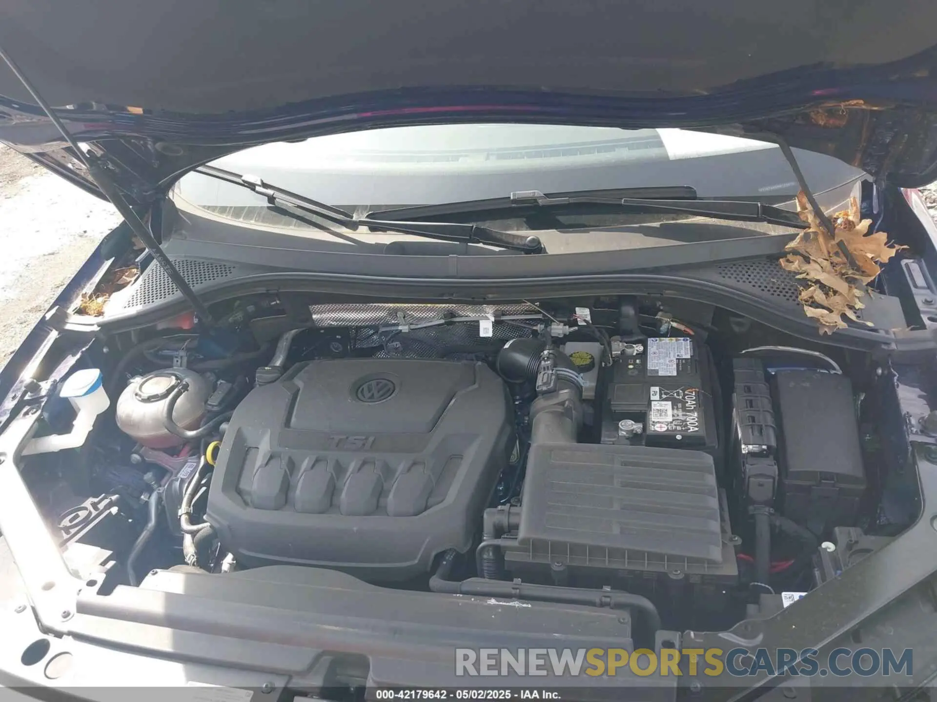 10 Photograph of a damaged car 3VV3B7AX5RM122618 VOLKSWAGEN TIGUAN 2024