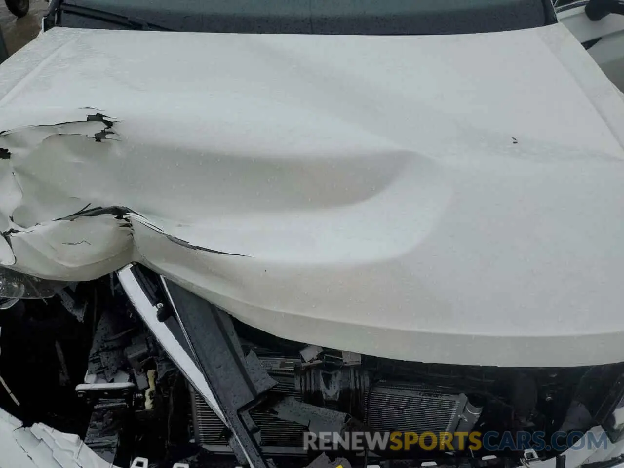 12 Photograph of a damaged car 3VV4B7AXXRM177585 VOLKSWAGEN TIGUAN 2024