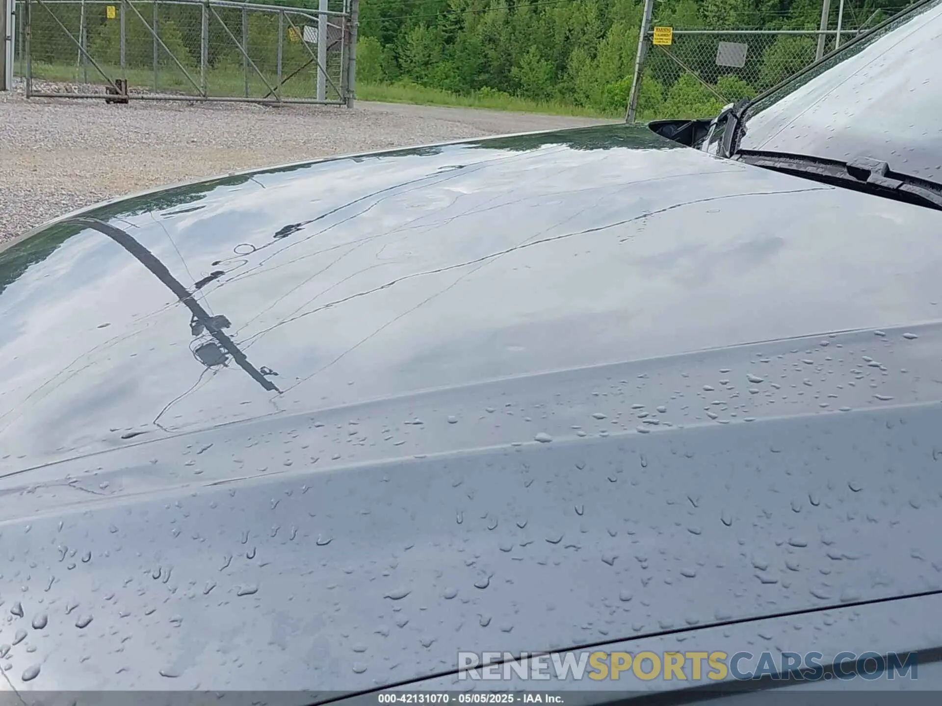 6 Photograph of a damaged car 3VV8B7AX1RM181025 VOLKSWAGEN TIGUAN 2024