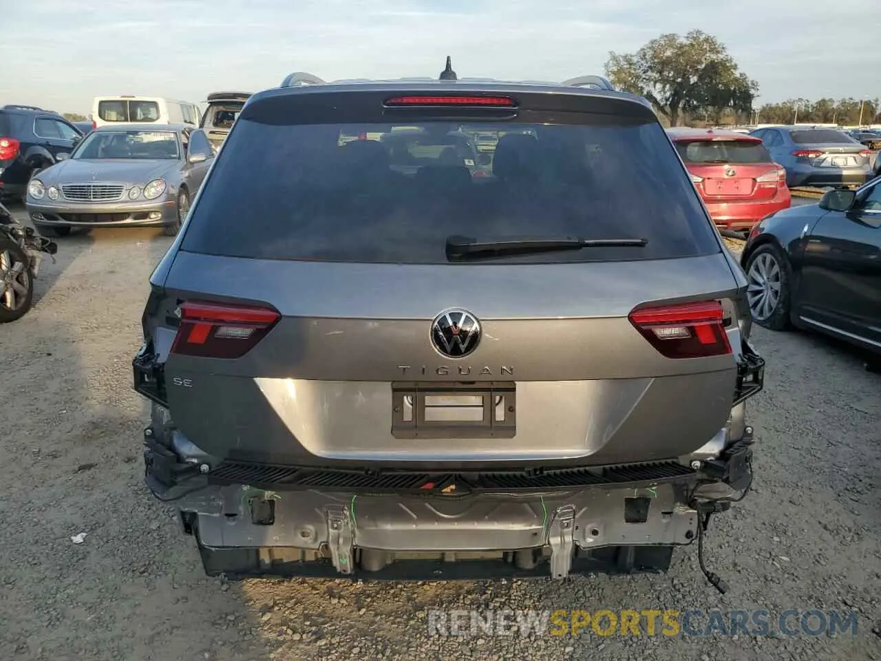 6 Photograph of a damaged car 3VVCB7AX4RM103753 VOLKSWAGEN TIGUAN 2024