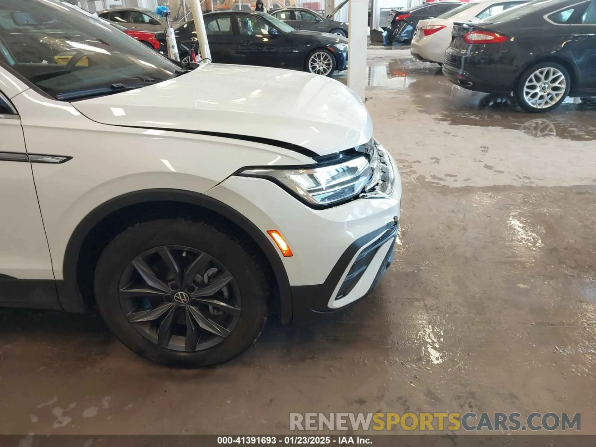 19 Photograph of a damaged car 3VVMB7AX3RM026247 VOLKSWAGEN TIGUAN 2024