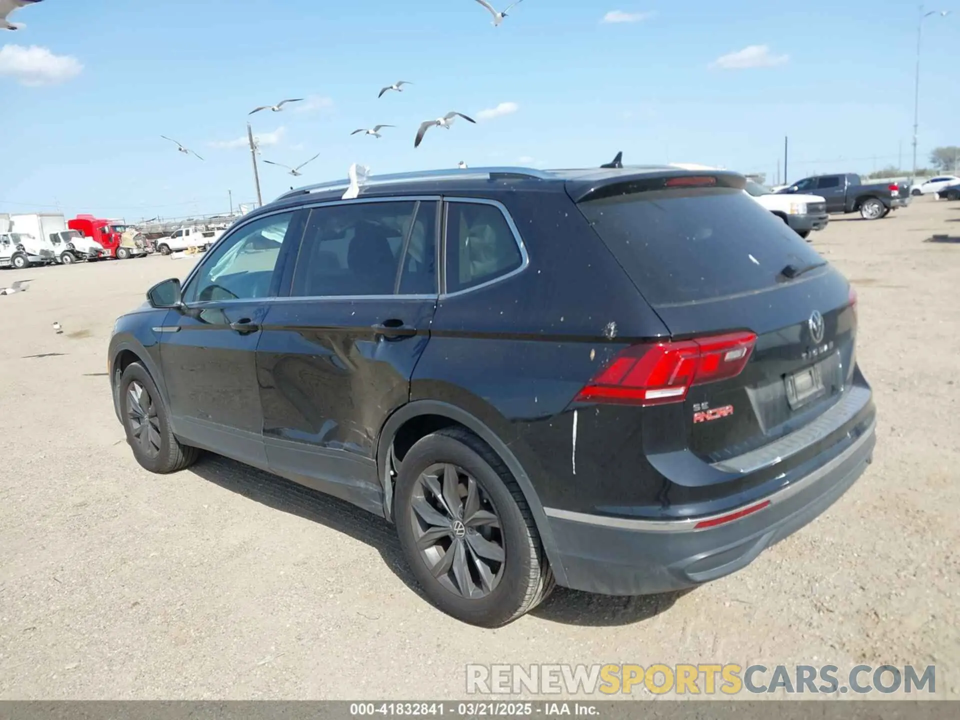 14 Photograph of a damaged car 3VVNB7AXXRM031028 VOLKSWAGEN TIGUAN 2024