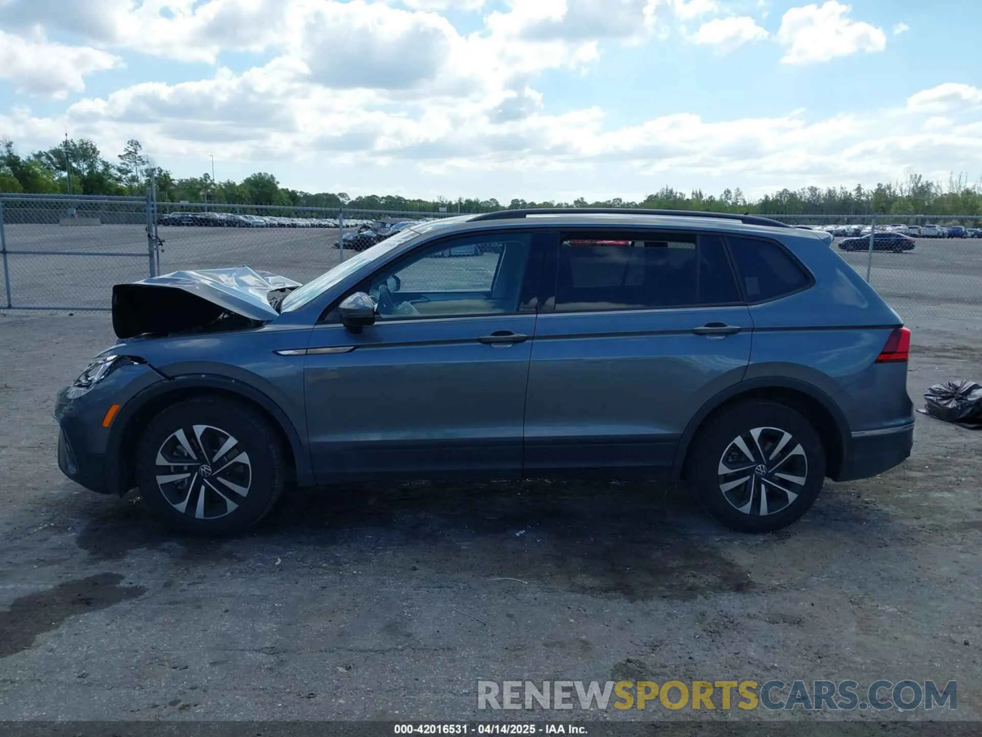 14 Photograph of a damaged car 3VVRB7AX5RM120314 VOLKSWAGEN TIGUAN 2024