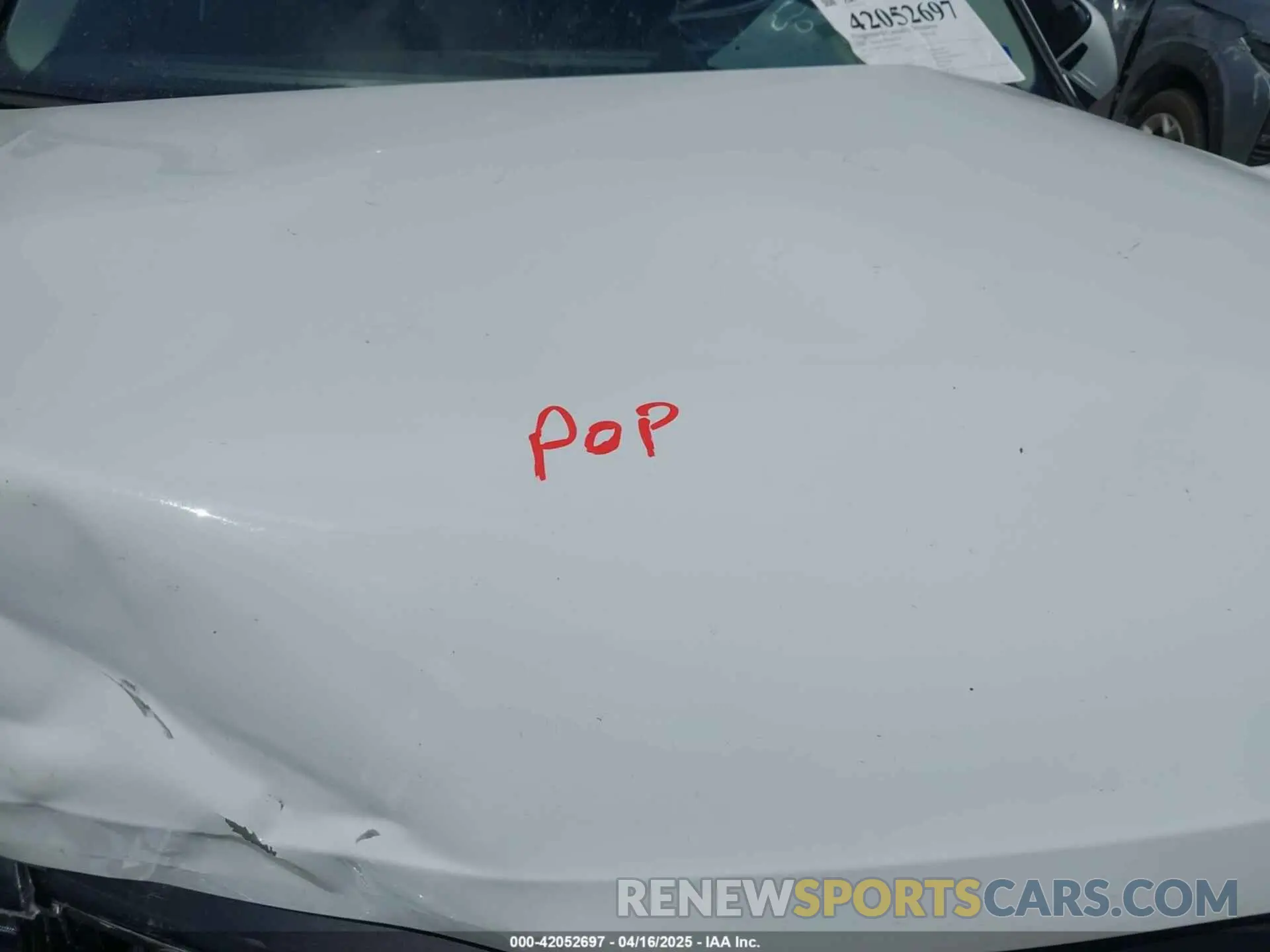10 Photograph of a damaged car 3VVRB7AXXRM105923 VOLKSWAGEN TIGUAN 2024