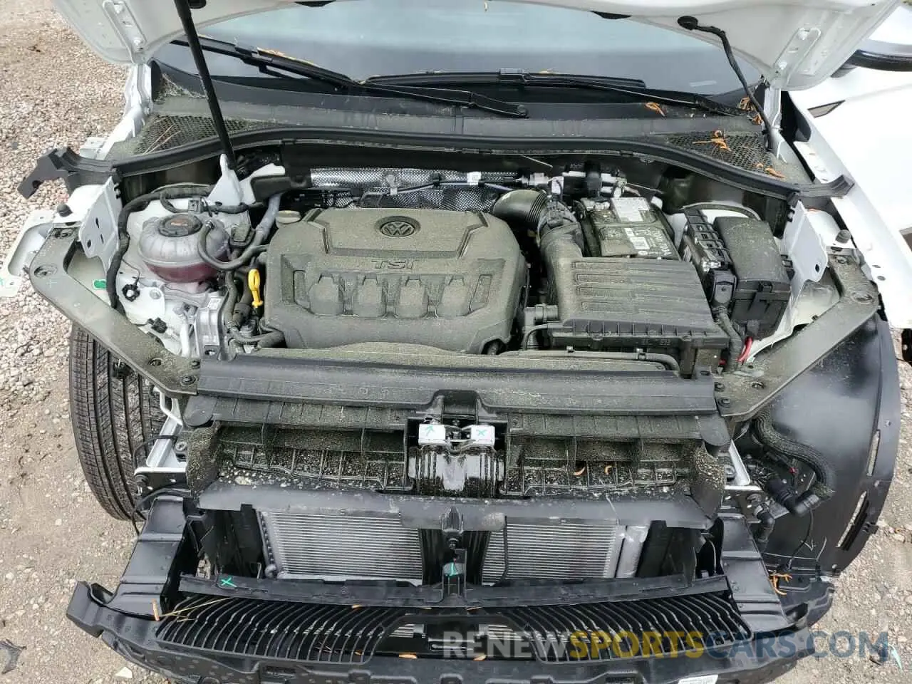12 Photograph of a damaged car 3VVTB7AX3RM233619 VOLKSWAGEN TIGUAN 2024